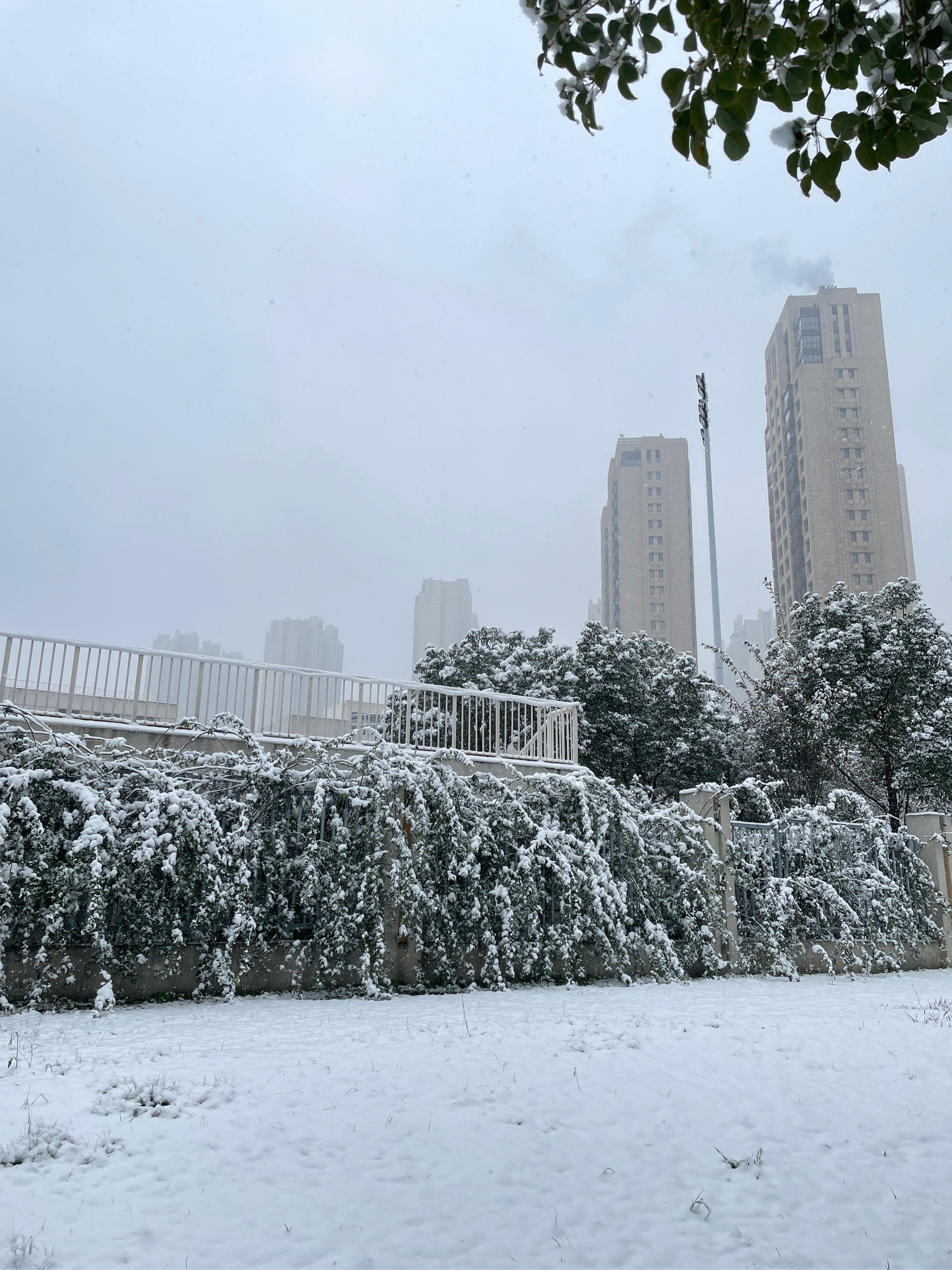 南京下雪天图片图片