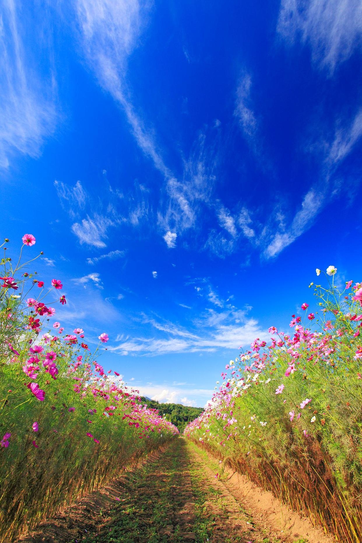 其自然的态度过随遇而安的生活 余生,站在属于自己的高度看该看的风景