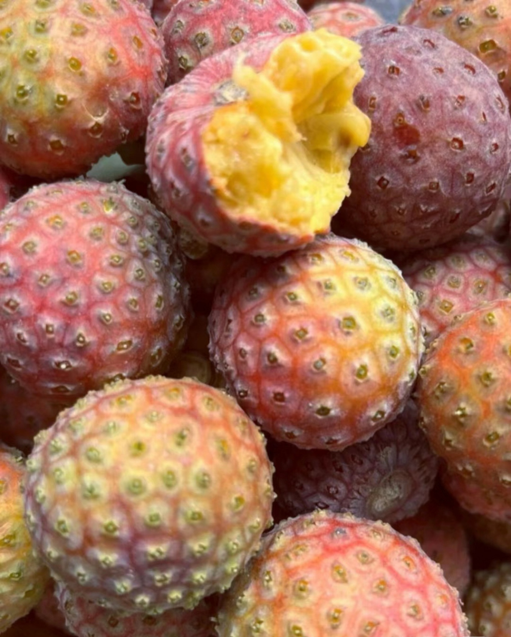 别笑话,真的不认识这是啥水果,看外壳像是荔枝,一看果肉,就蒙圈了.