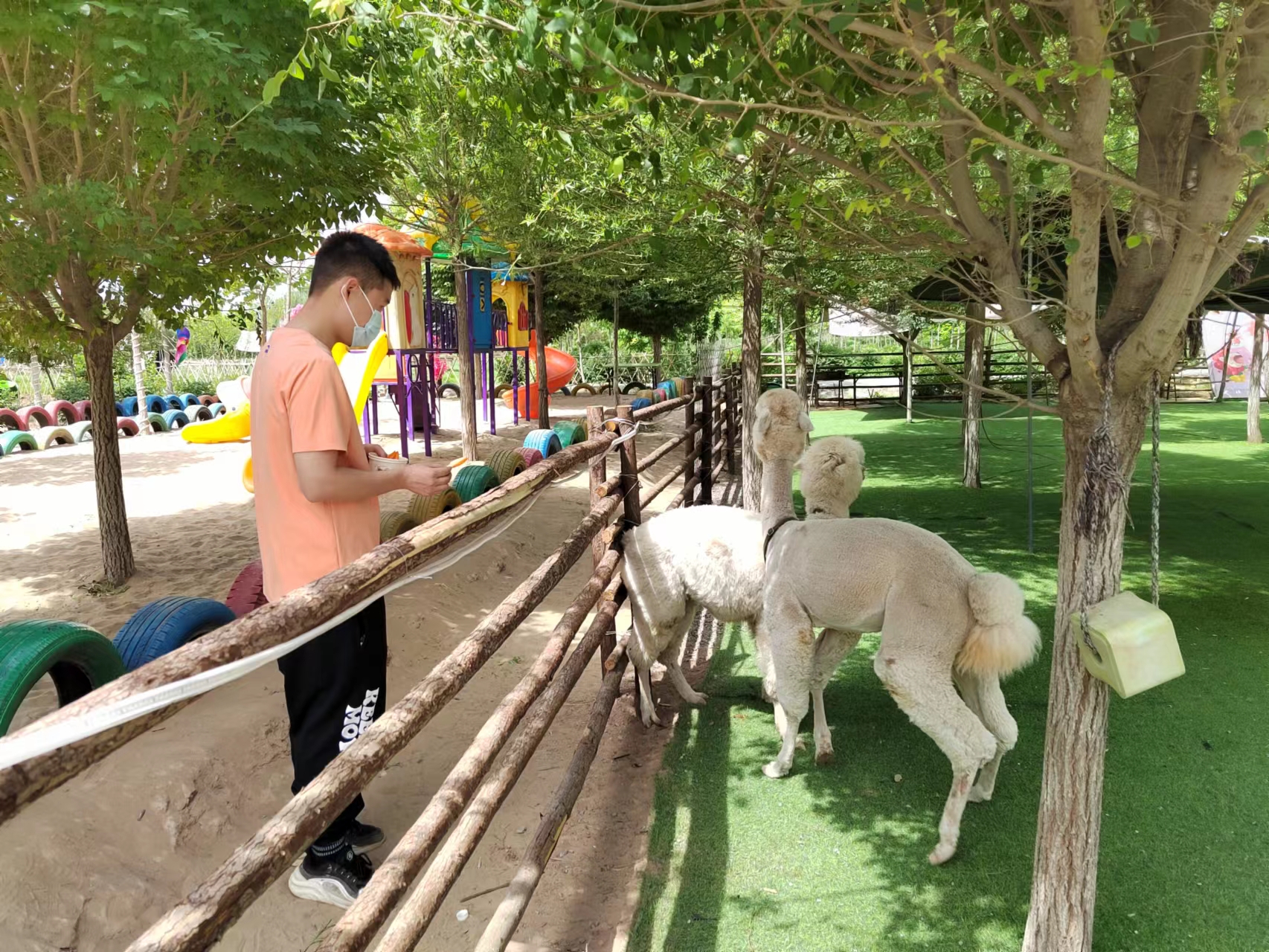 金贵牡丹园萌宠乐园