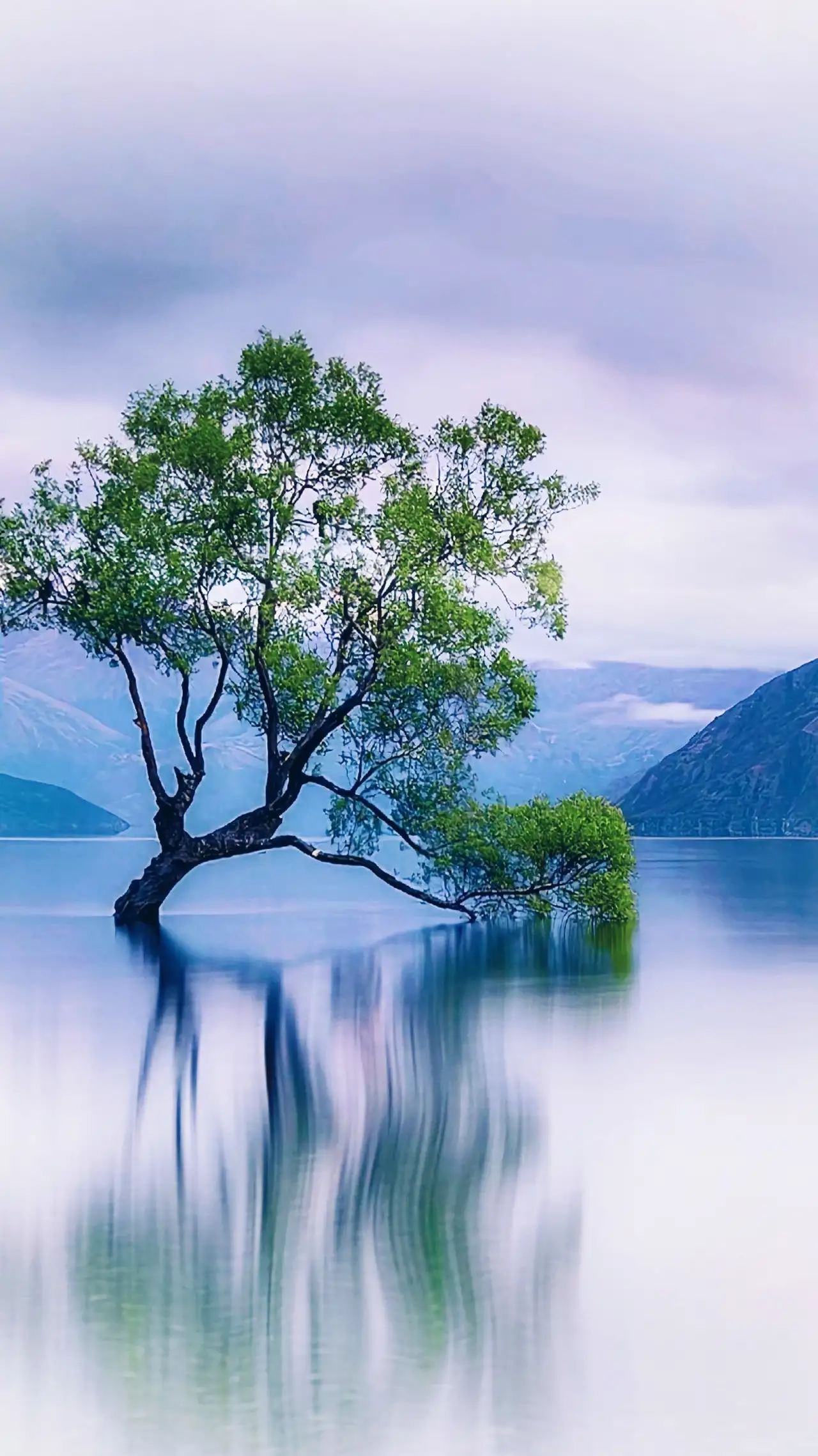 湖水波澜不惊, 远山依然执着.