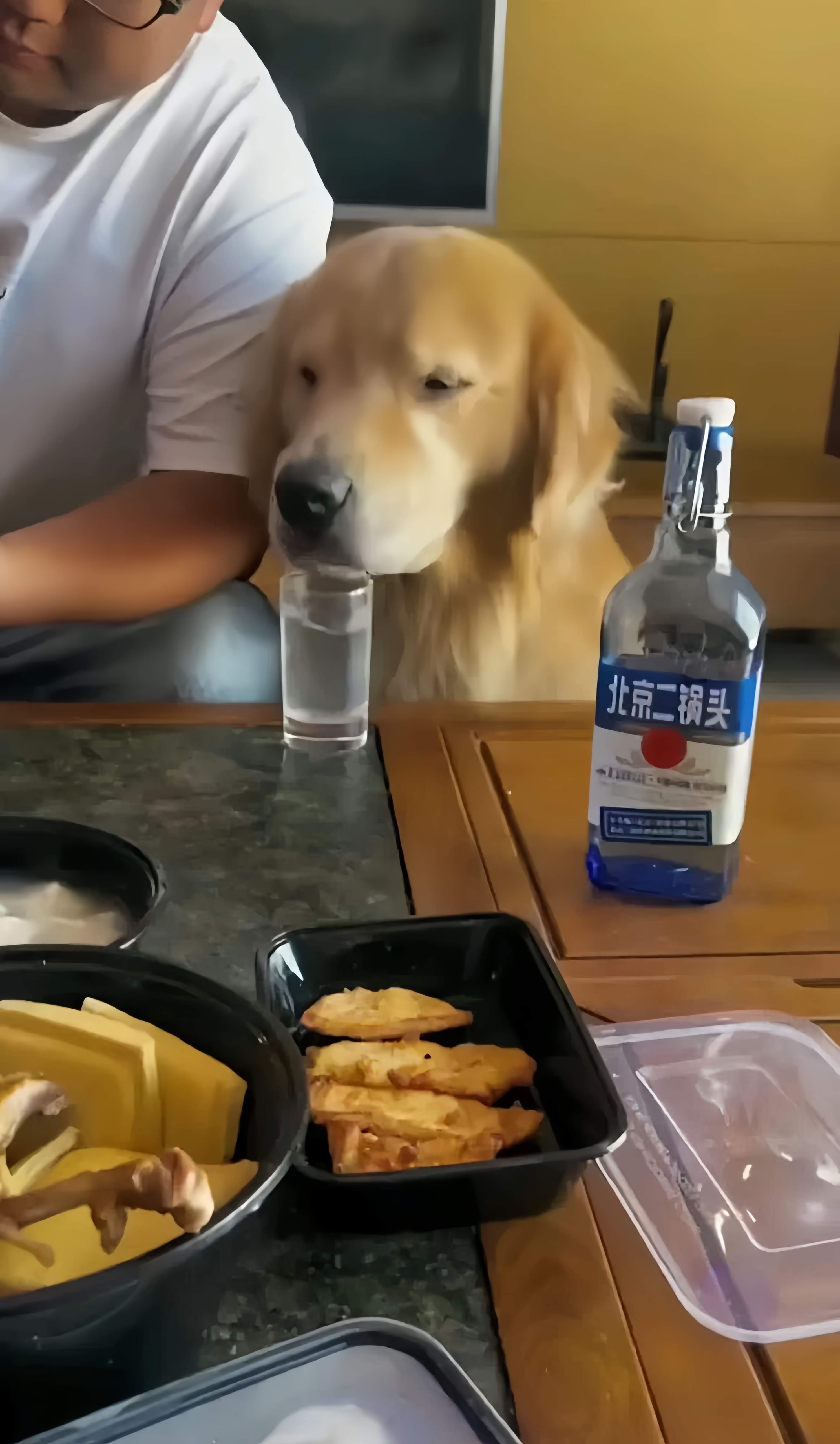 还得抬着回家,回家后就趴在马桶上一直吐