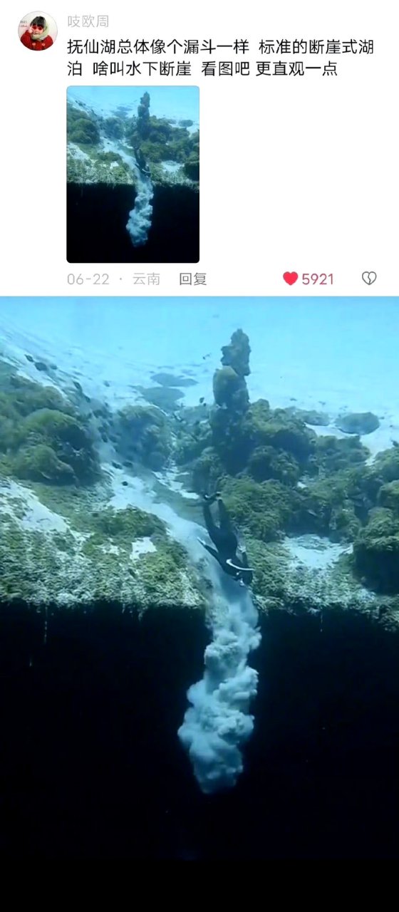 云南抚仙湖水怪图片