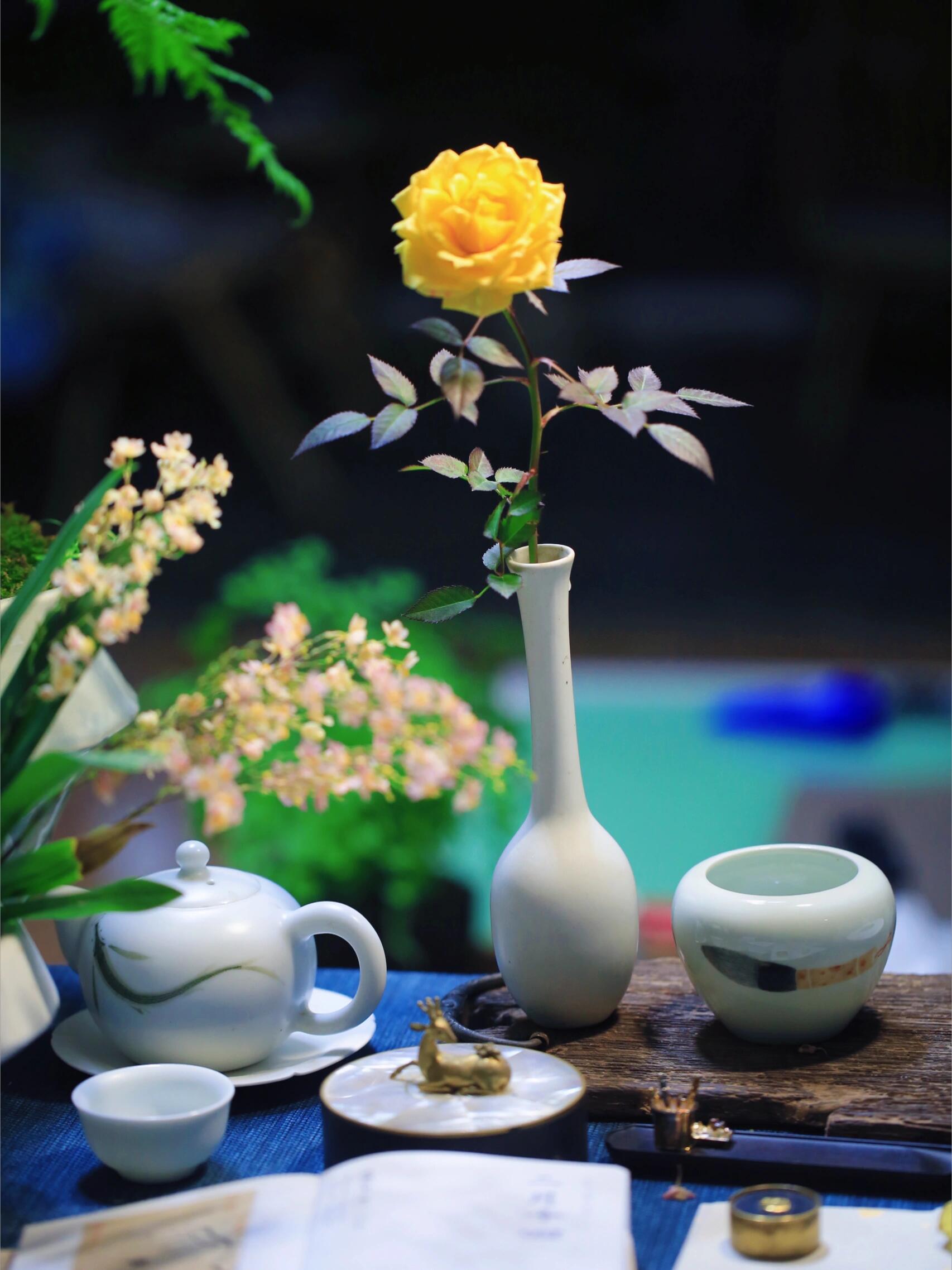 茶艺图片唯美母子茶艺图片唯美赏月观花品清茶图片菊花旁弹琴意境菊花
