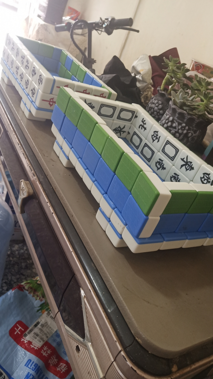 废弃麻将别丢了,做个多肉花盆真好看