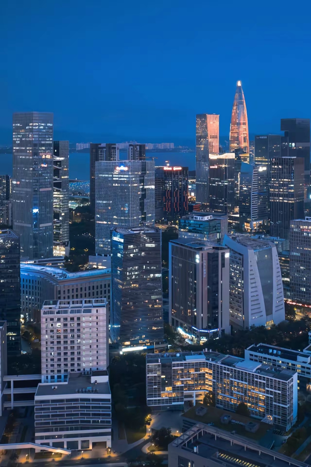览南山区街道人文图繁华的街道深圳俯瞰图片繁华夜景街道深圳城市鸟瞰