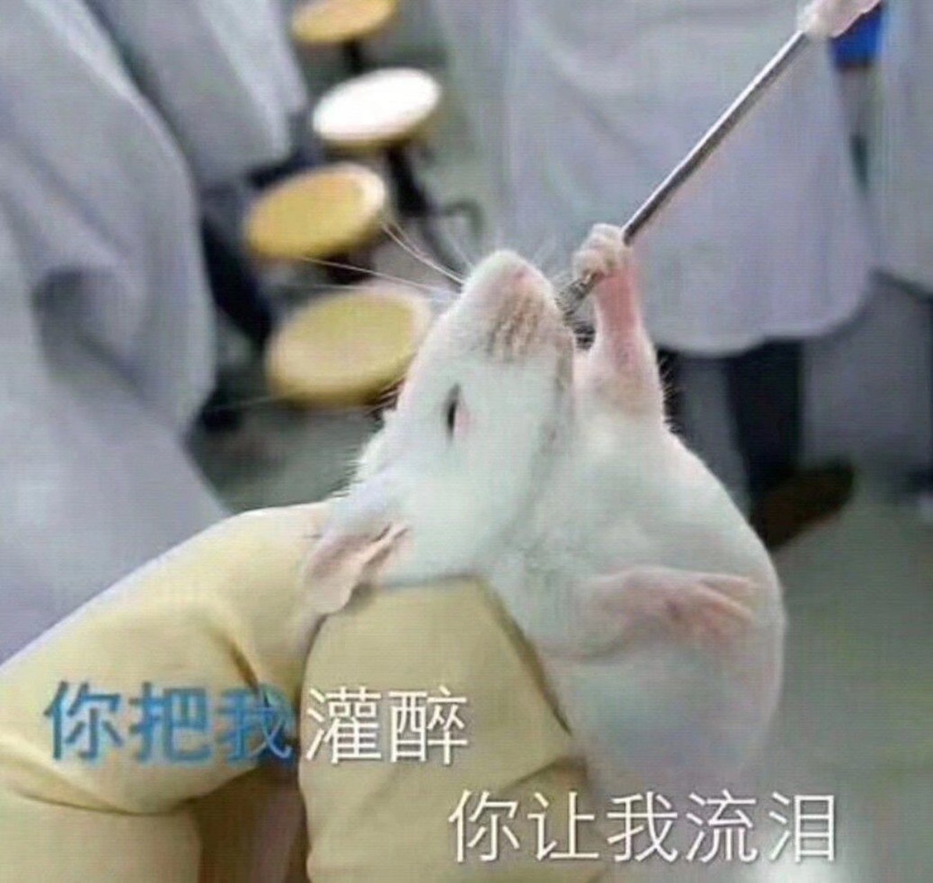 问:  我有机会吗?   答:  我有机不会