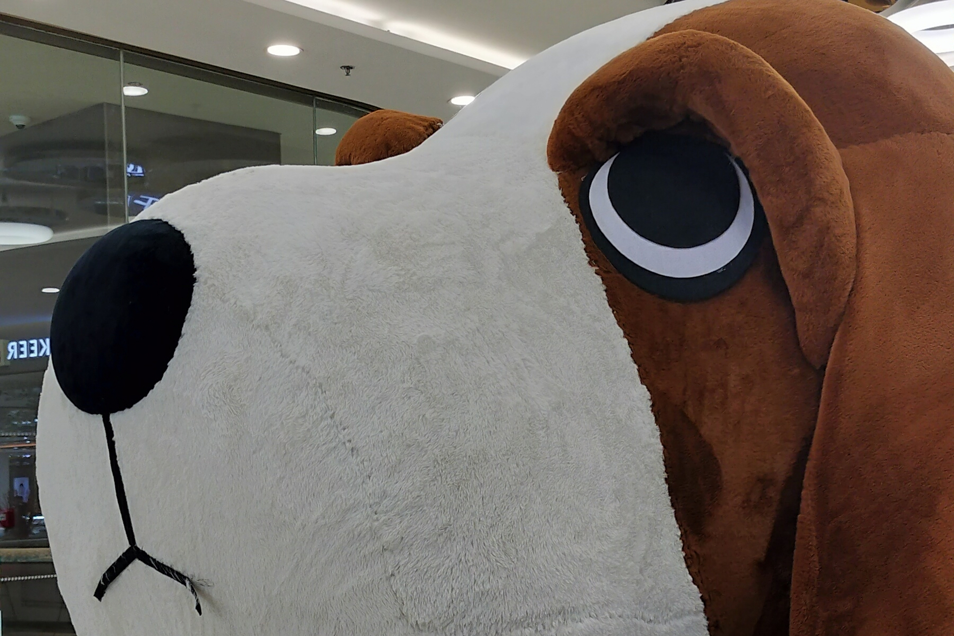 《一切》北岛  一切都是命运  一切都是烟云  一切都是没有结局的开始