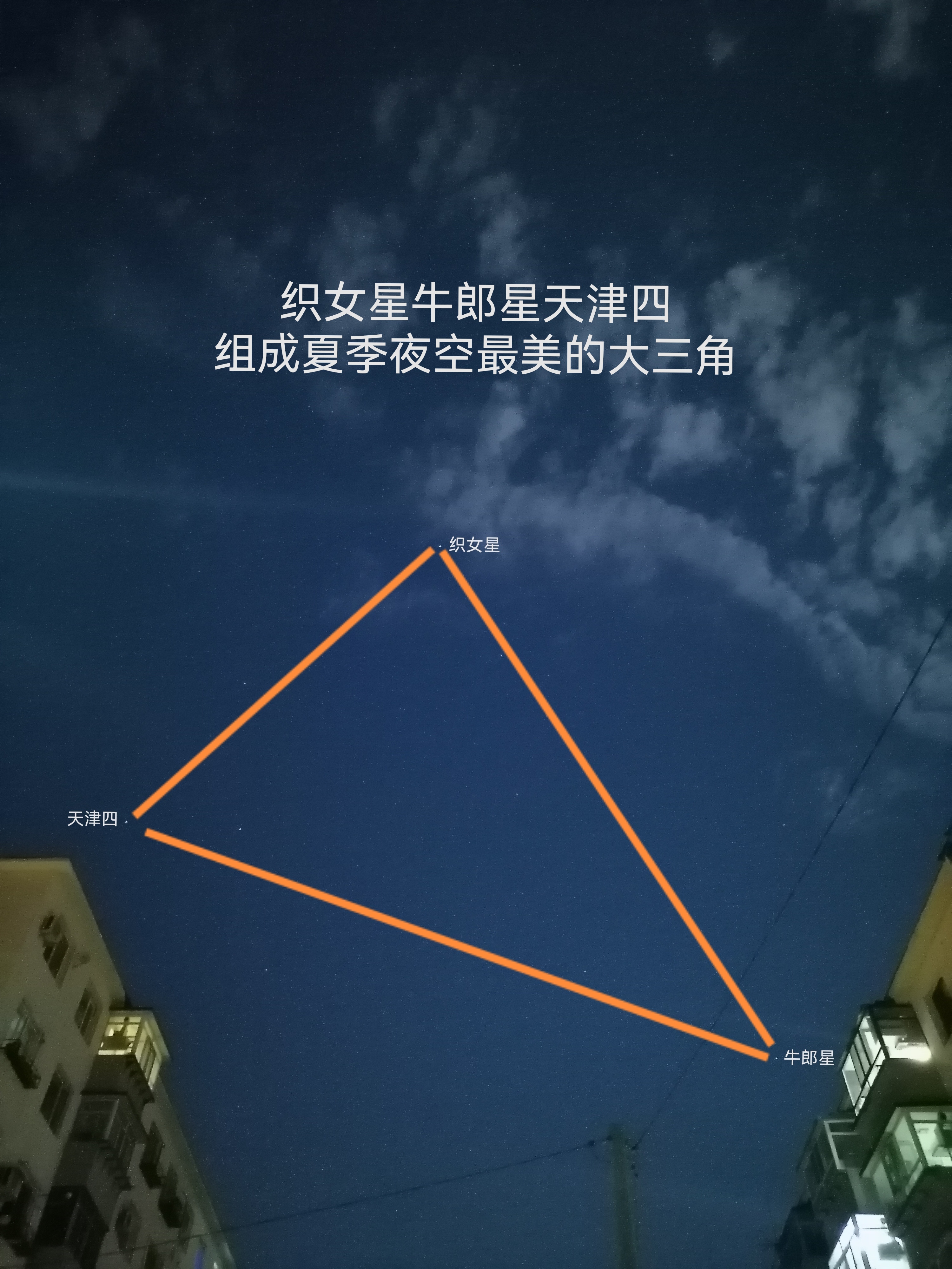 织女星属于哪个星座图片