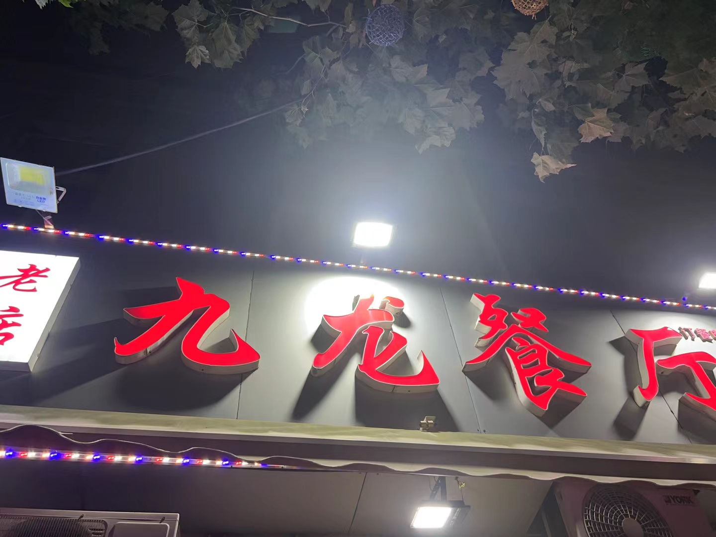 青岛九龙餐厅图片