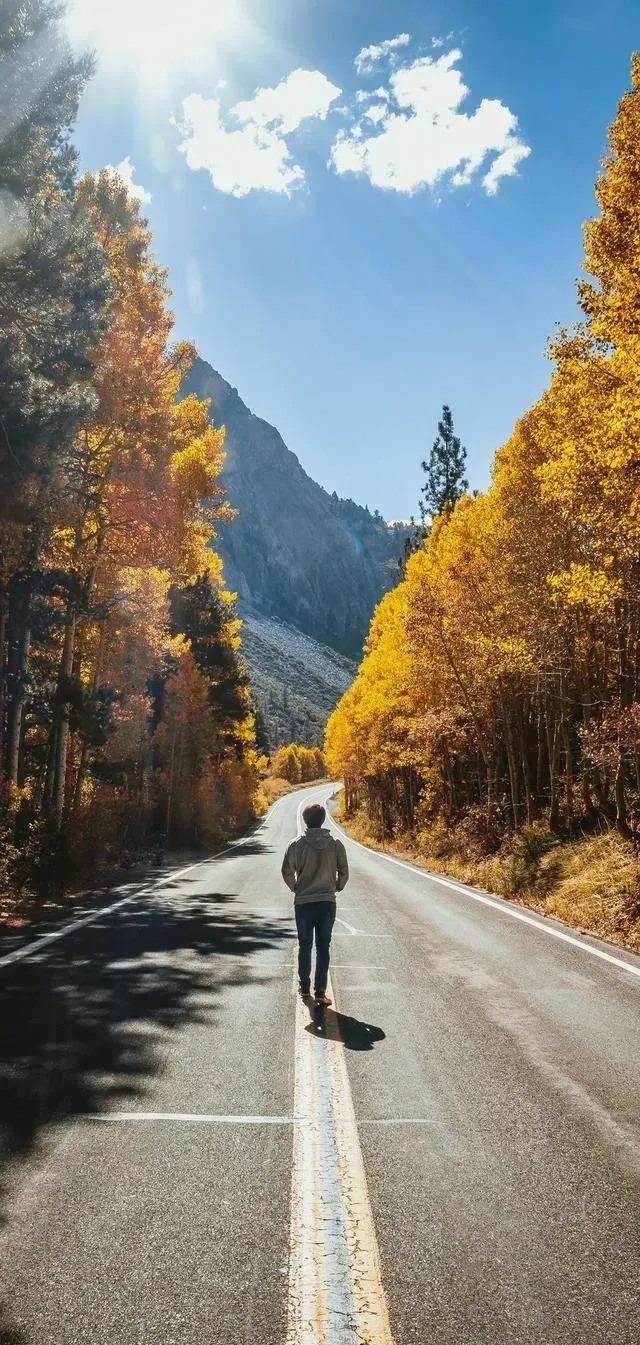 他喝的是无人诉说的心事;喝的是满腹的无奈和心酸;因为他的无助和崩溃