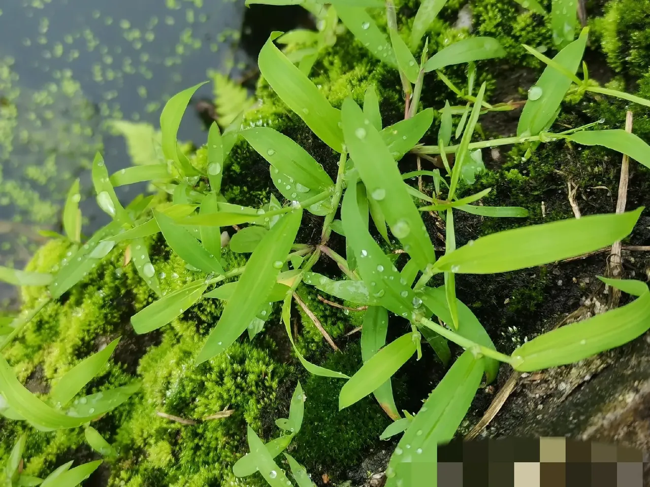 39岁的优质剩女结婚一个月没来大姨妈,以为怀孕了,去医院检查,绝经了!