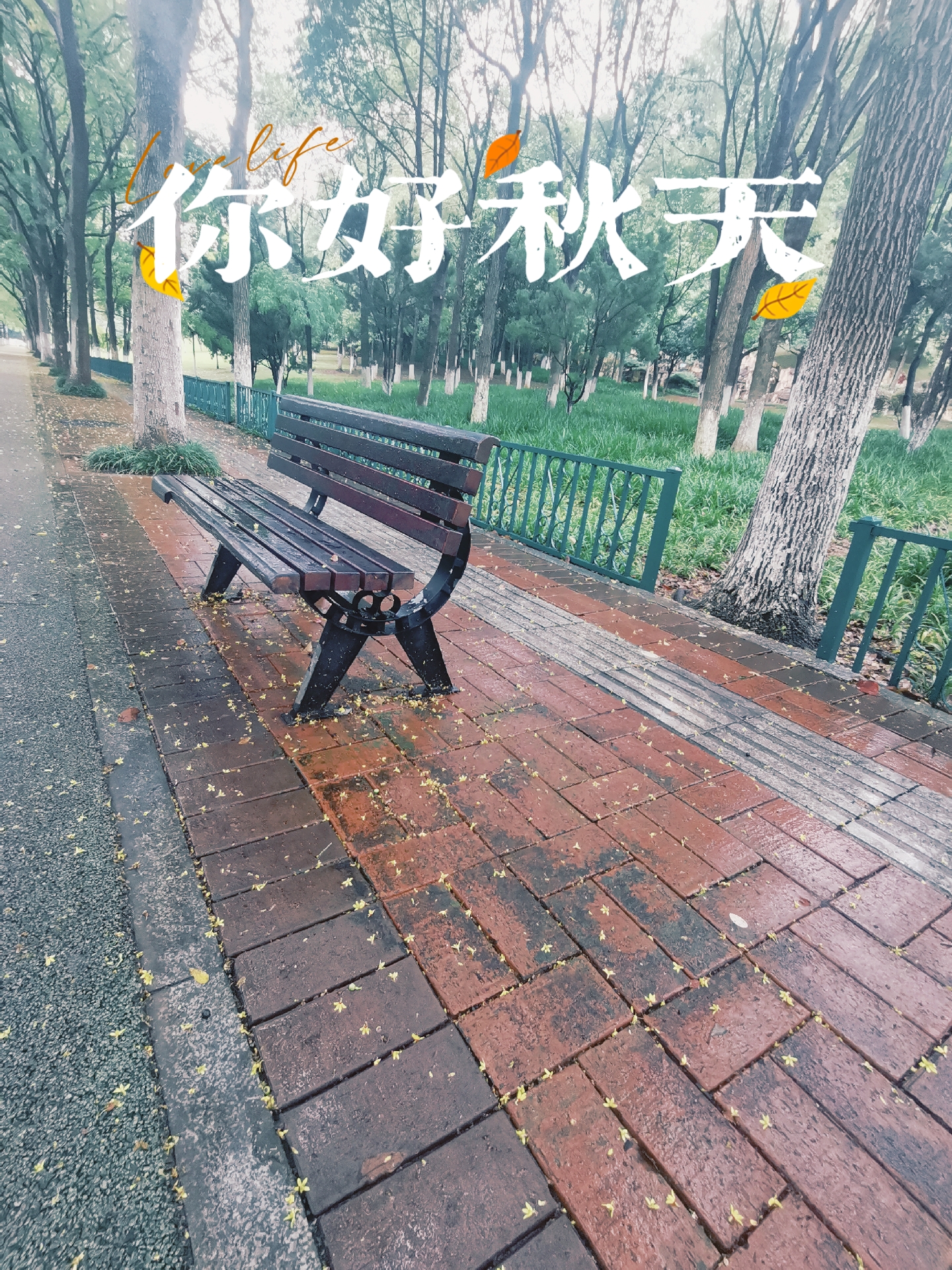 今日的等待,换来明日的欢喜,我愿静