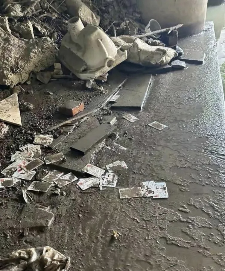 今天去钓鱼,在桥洞子底下,发现一堆这个东西,这是什么情况?