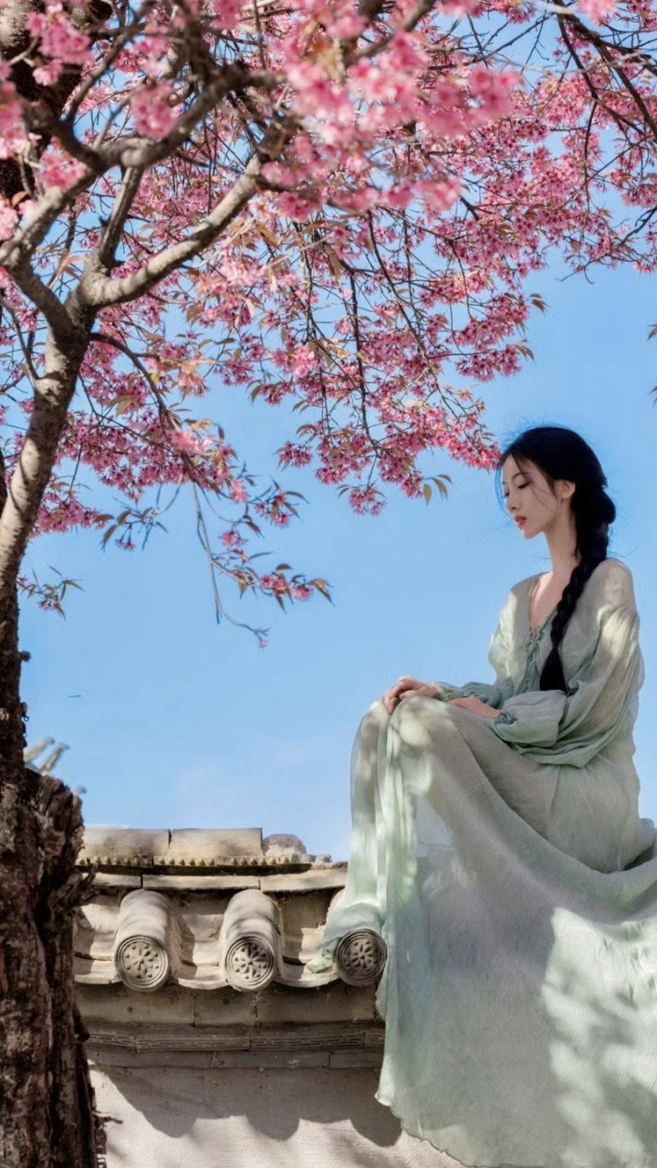 949494 盛开的樱花树下,一位古装女子静静坐着,仿佛穿越了时空