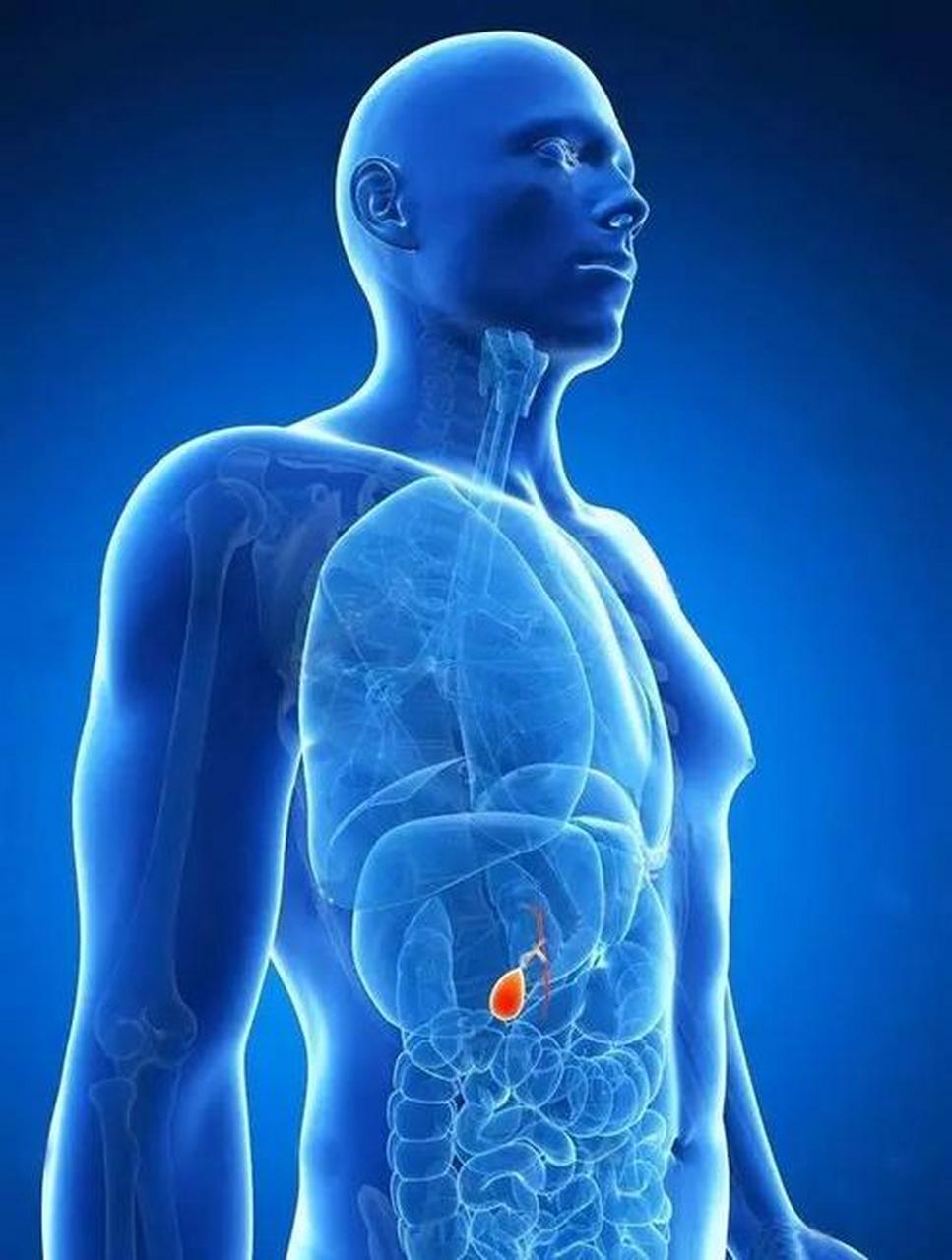 胆囊炎引起肩背部疼痛的思考 胆囊炎疼痛可以放射到右侧肩背部或者