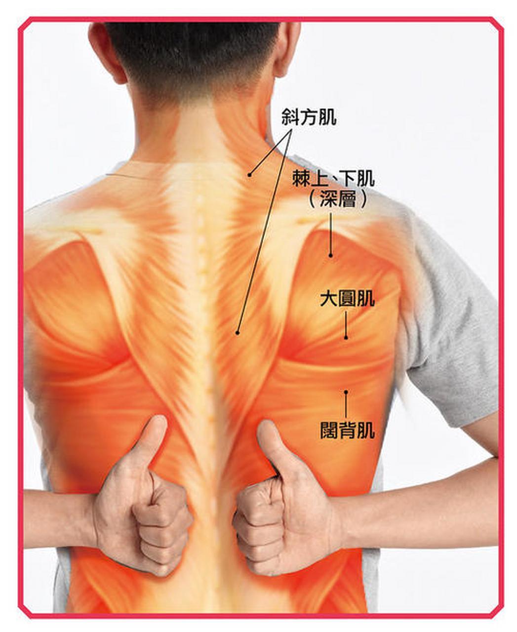 胆囊炎引起肩背部疼痛的思考 胆囊炎疼痛可以放射到右侧肩背部或者
