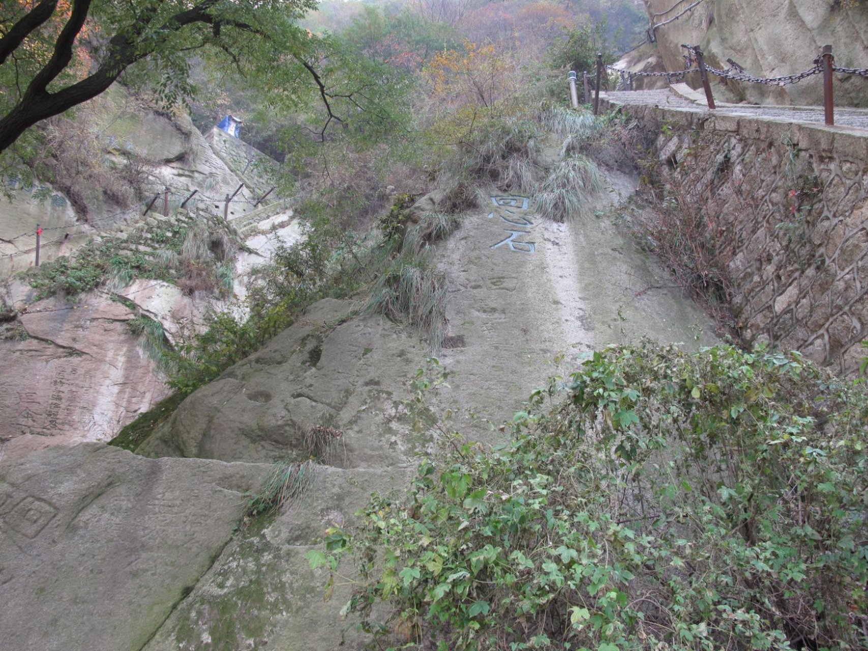 【一剪梅】崋嶽迴心石 險仄崎嶇路更深. 古木森森,含氣凝陰.