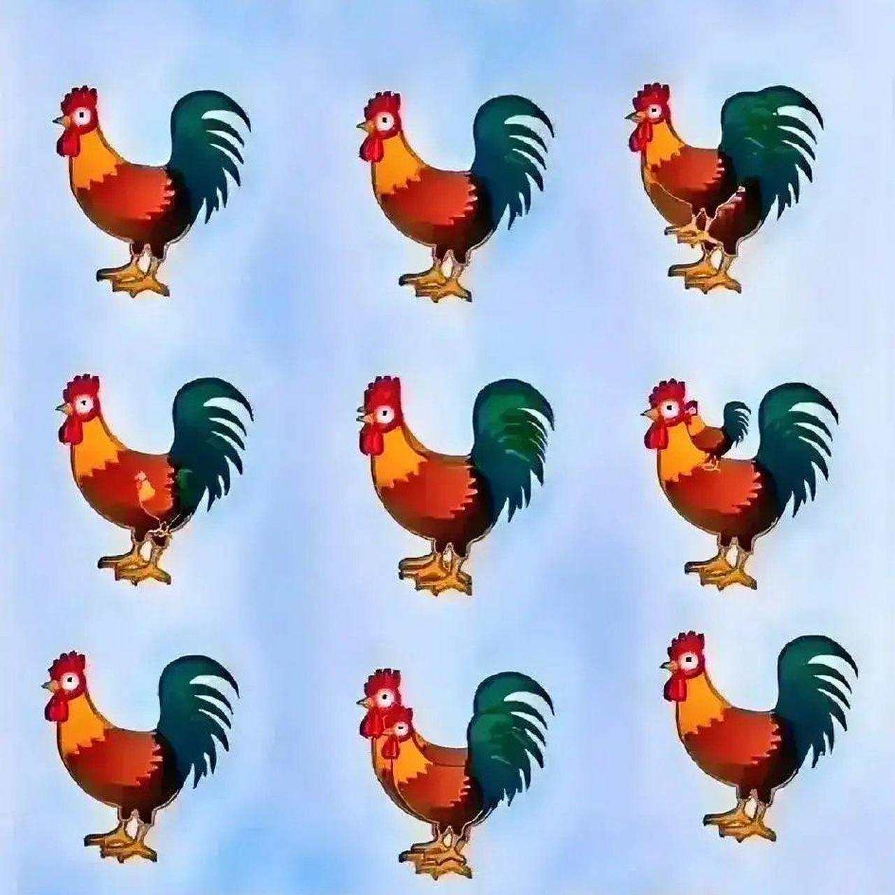 考眼力啦~你看到几只鸡?