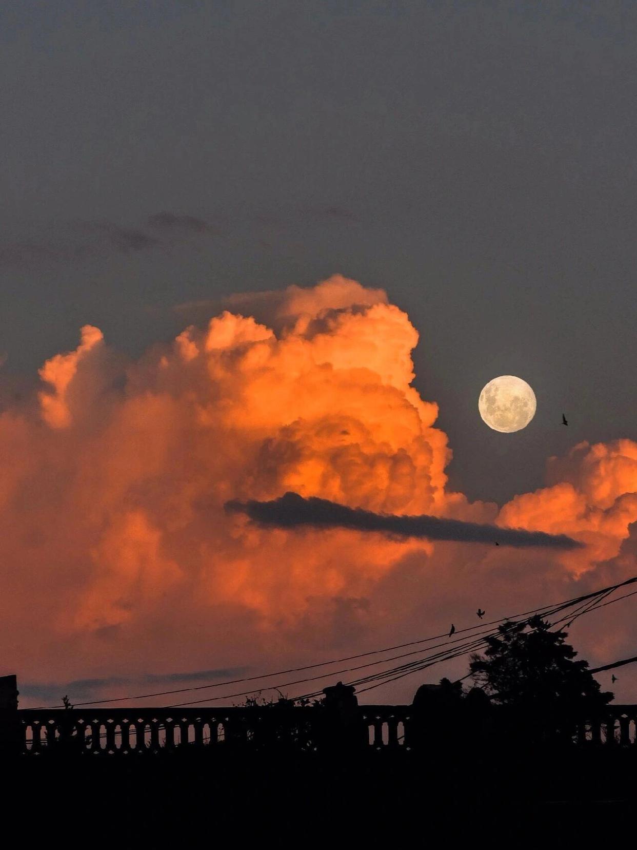 好看的背景图就是要一起分享吖