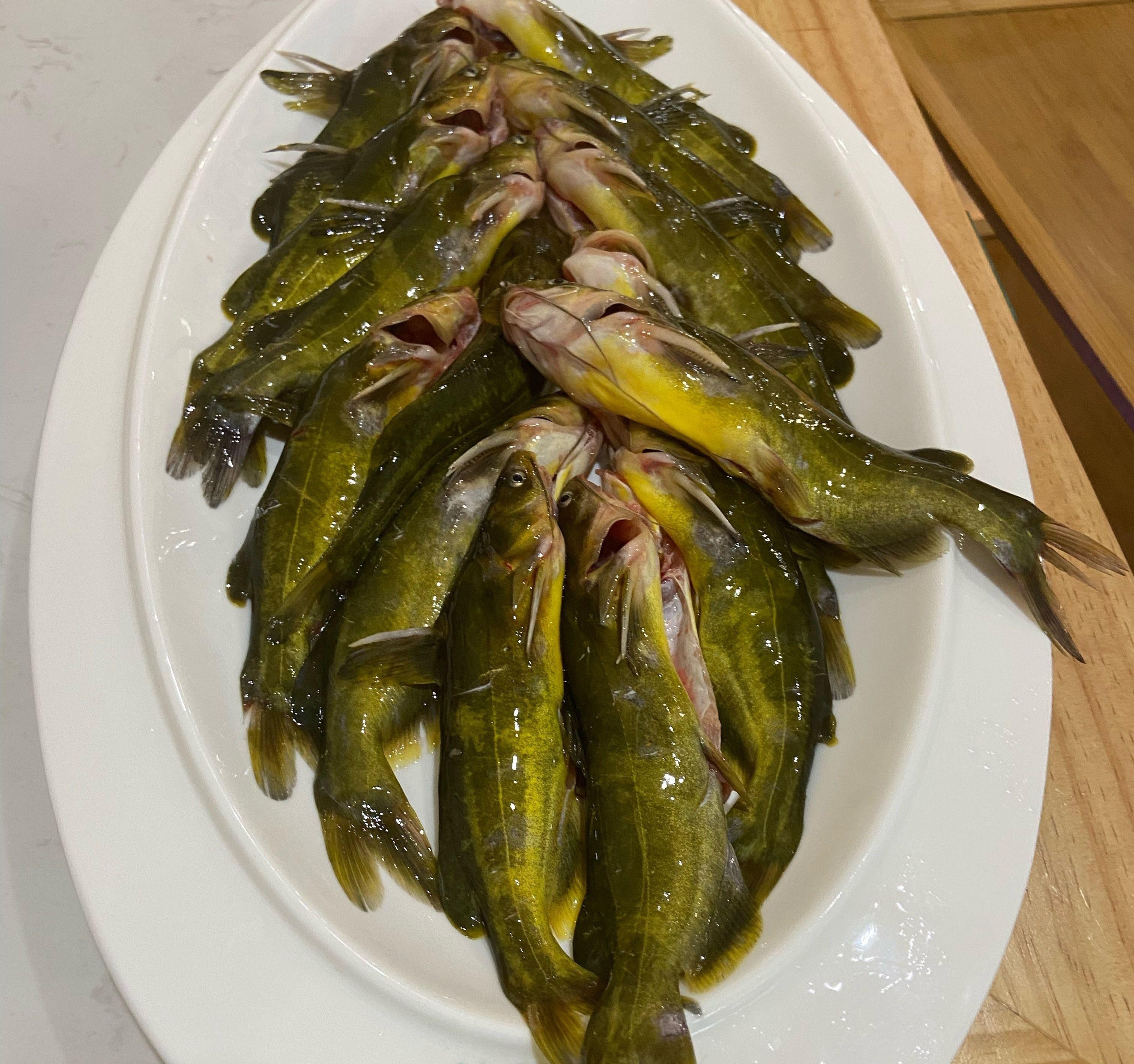 黄辣丁:小身材里的至鲜滋味与满满营养 #健康种草大赛#