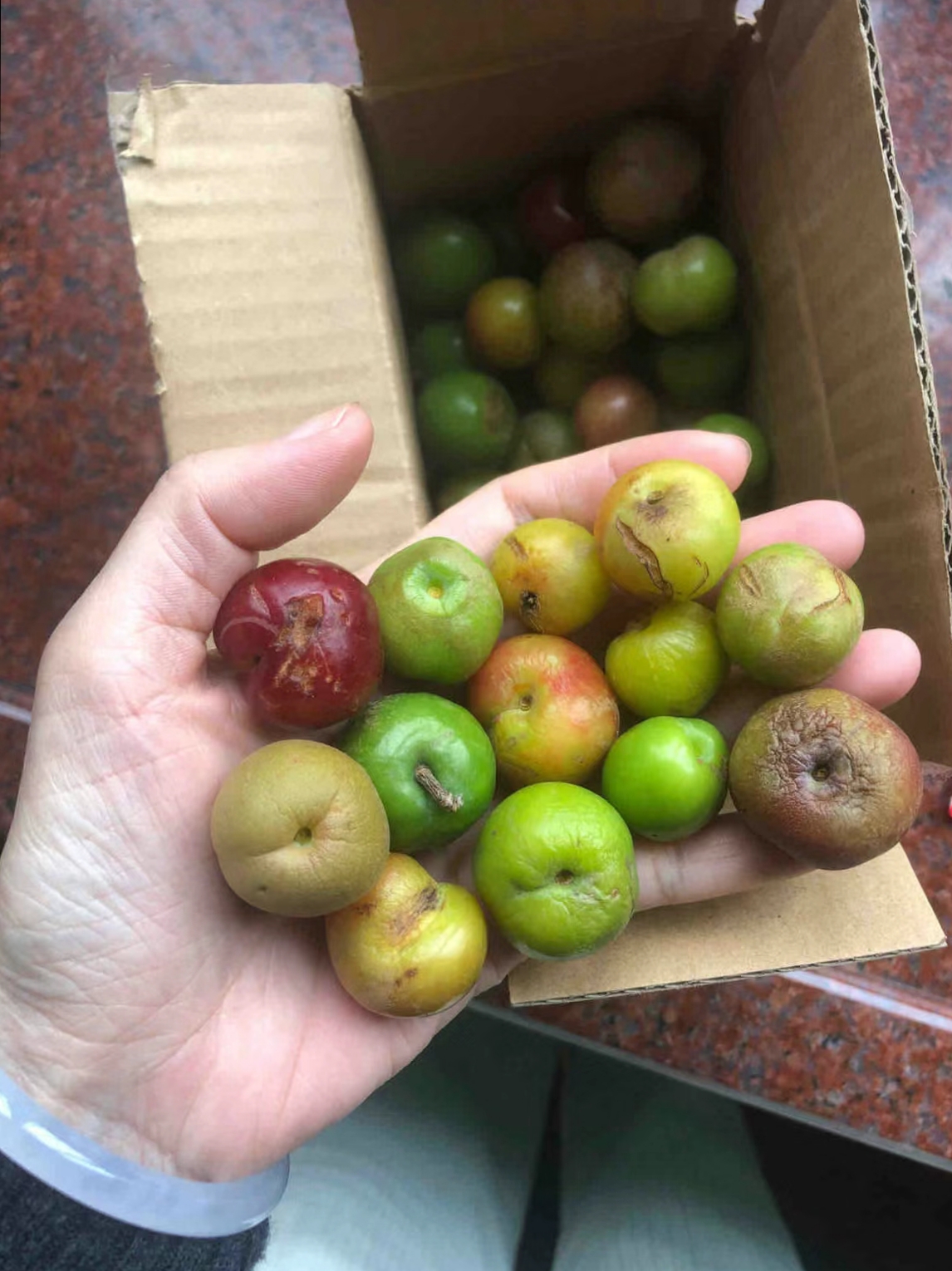 网购了一箱冰糖李,收到的是这样的货,我该不该向卖家索赔啊?