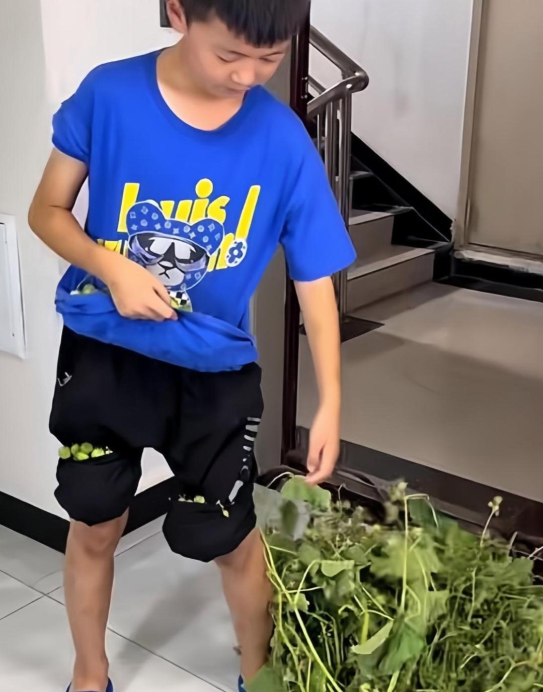 这个东西真的能吃吗?这不就是路边上的野草吗?