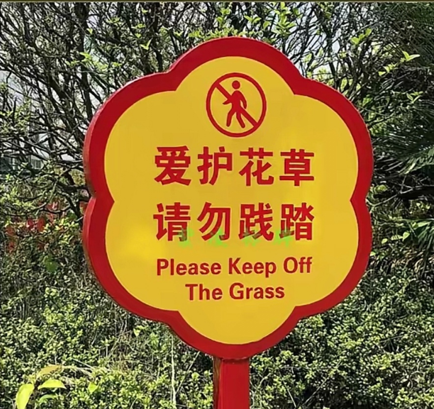 原来是因为中国人从小就被教育要爱护花草,不要随意践踏草坪,所彝就
