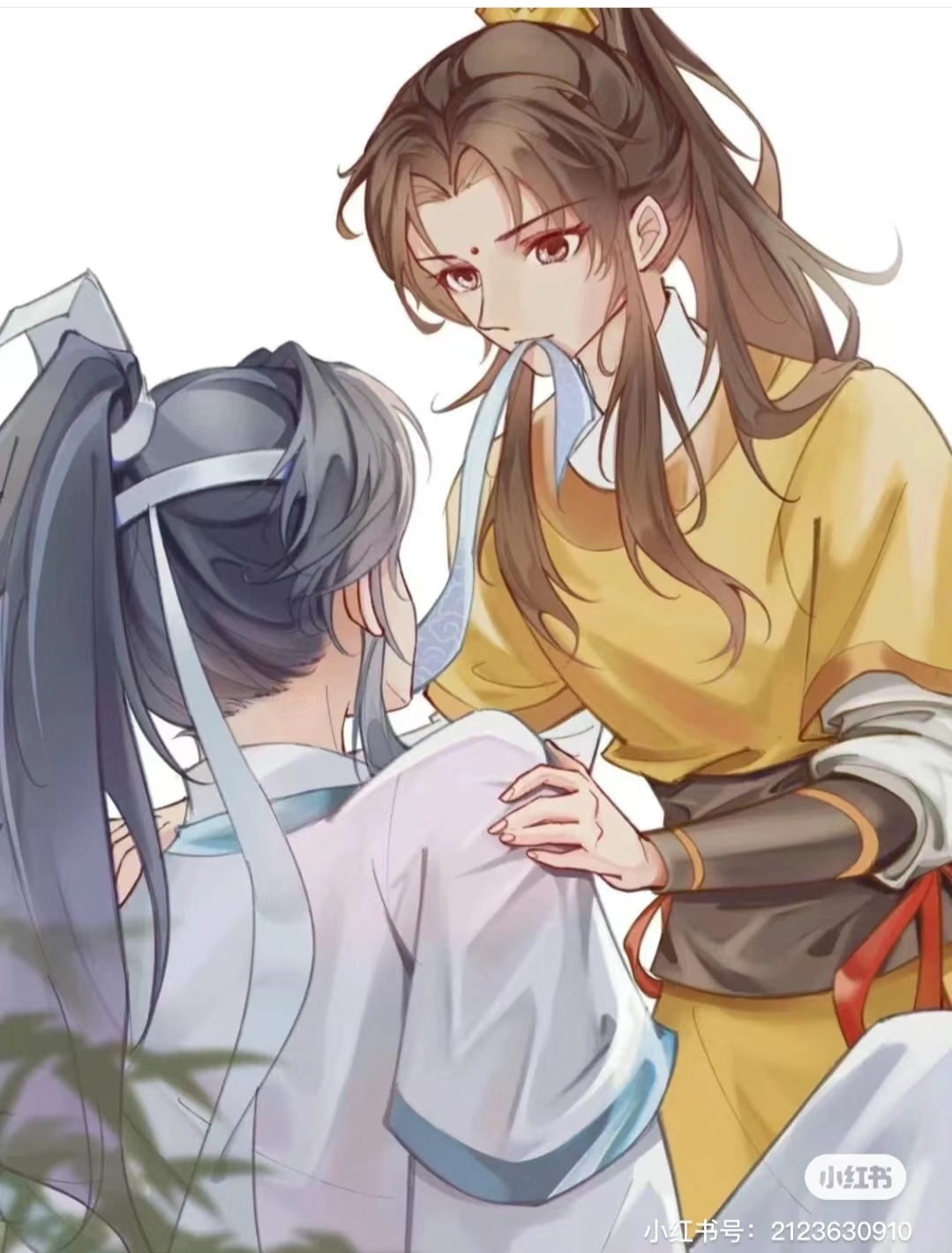 魔道祖师金凌    魔道祖师蓝思追