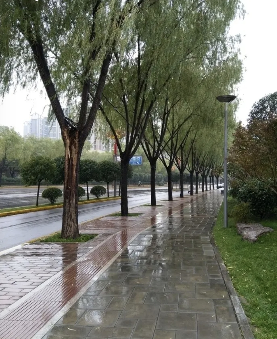 雨天清晨的图片真实的图片