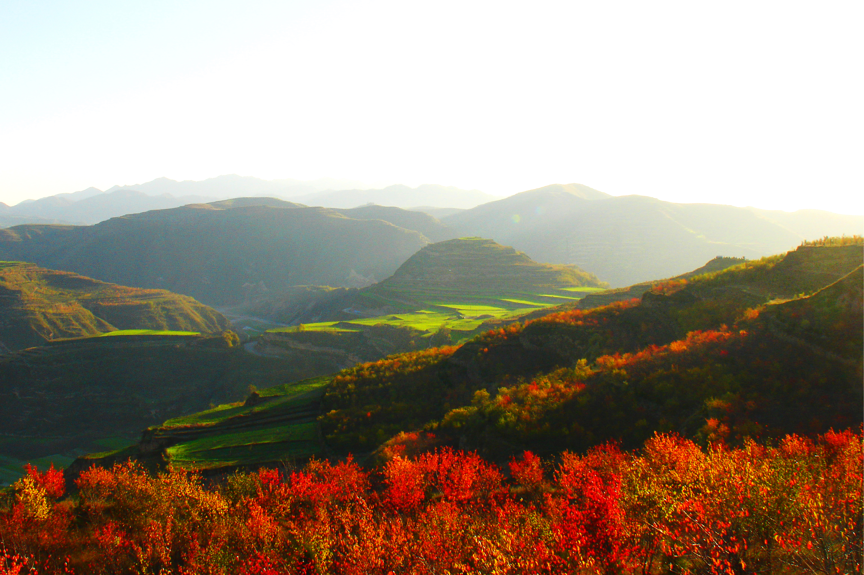 礼县大堡子山风水图解图片