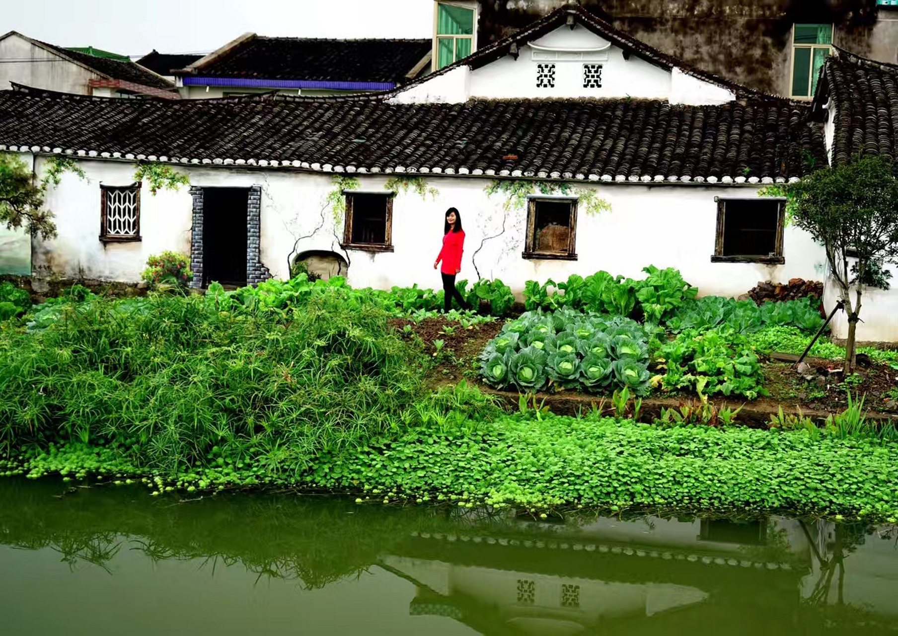 七都岛的樟里村,是温州的一个山水画乡,也是温州cbd白领丽人中午的