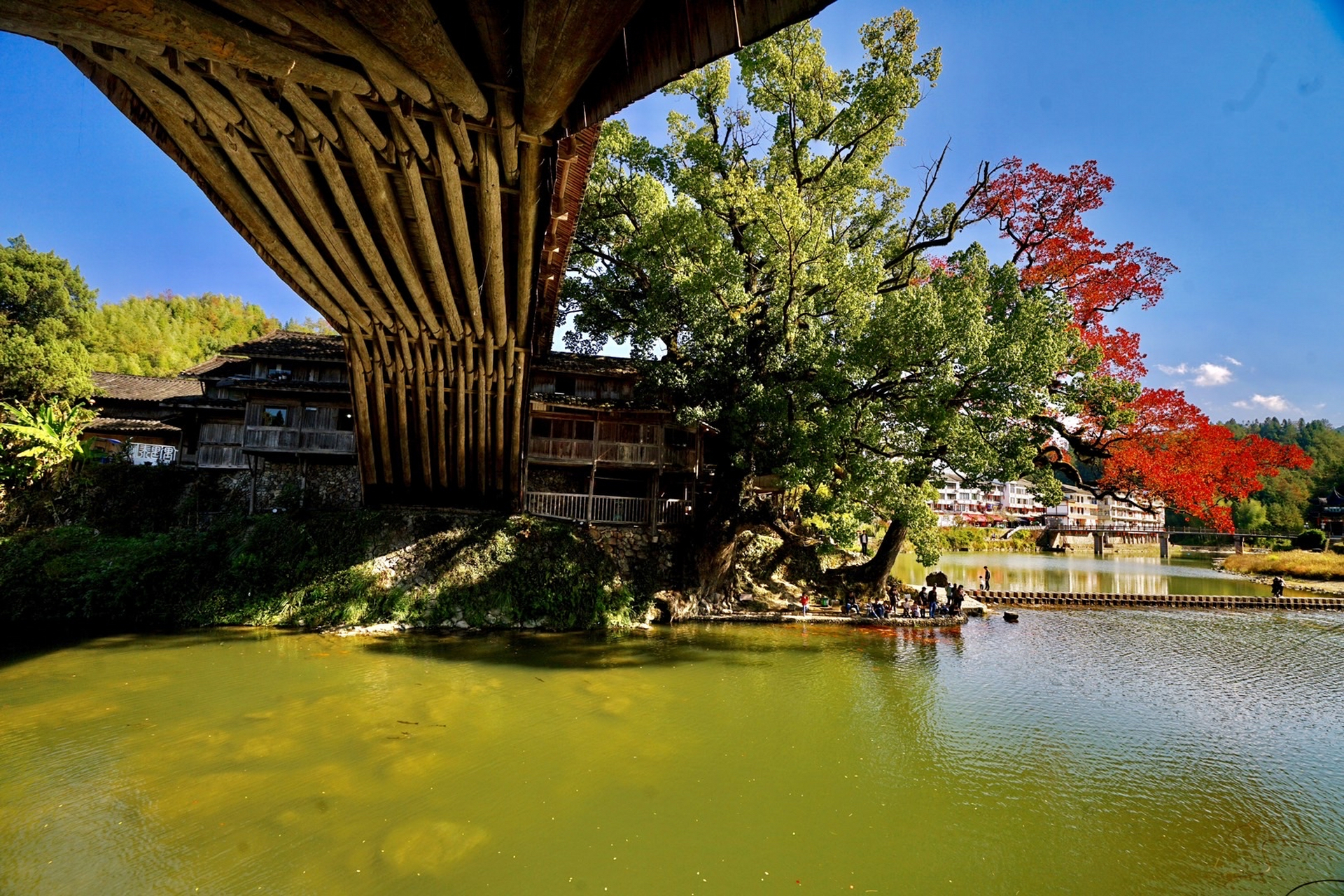 泰顺泗溪姊妹桥被誉为世界最美廊桥,其中妹妹桥北涧桥美在环境,不仅仅