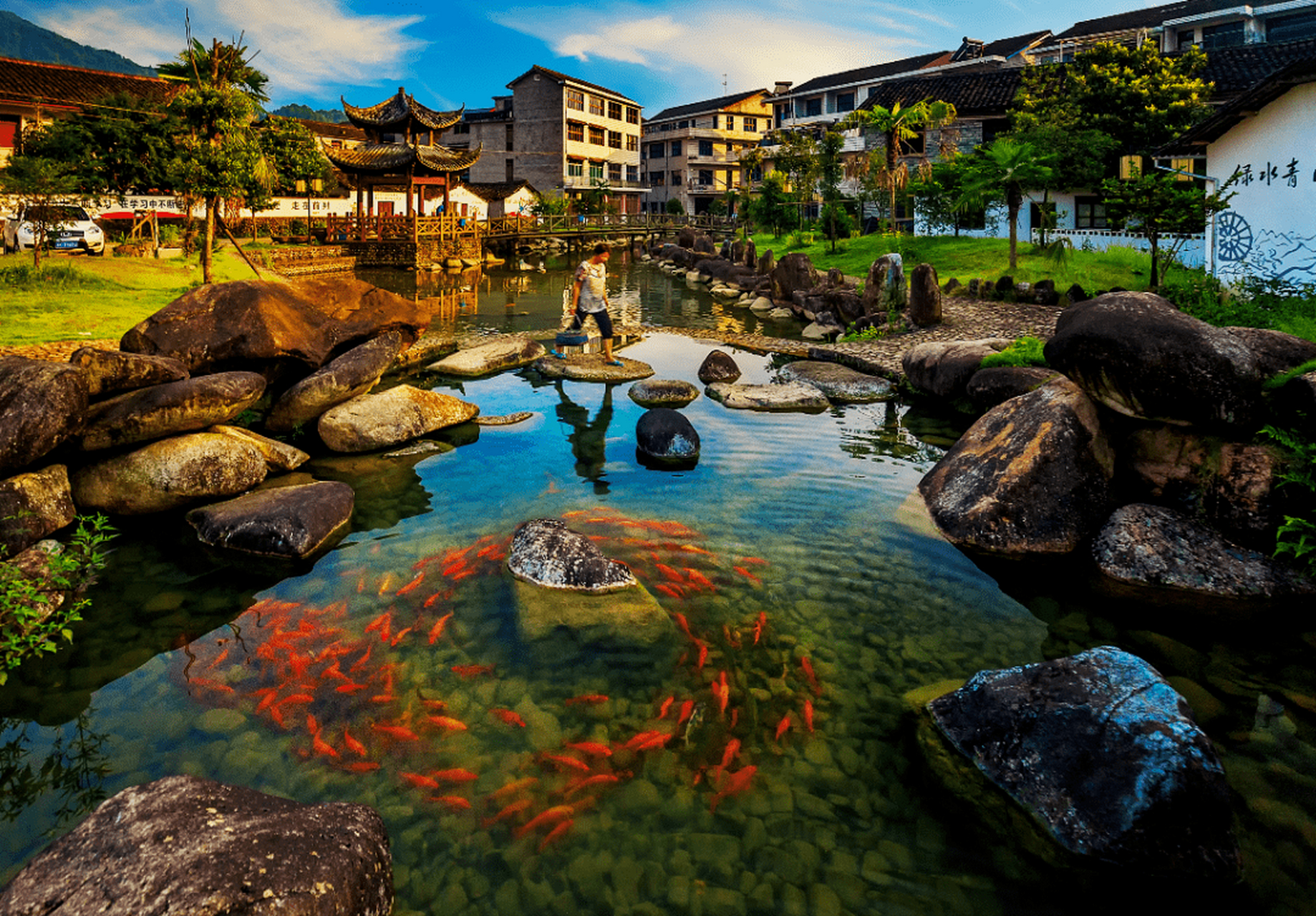 龙泉市是国家卫生城市,国家森林城市.