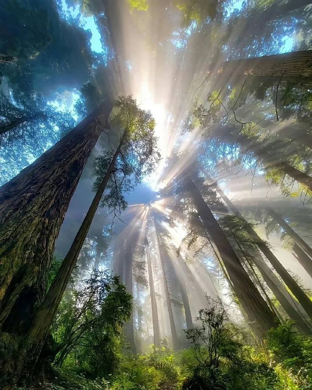 丁达尔效应(tyndall effect),也叫丁达尔现象,或者丁铎尔现象,丁远