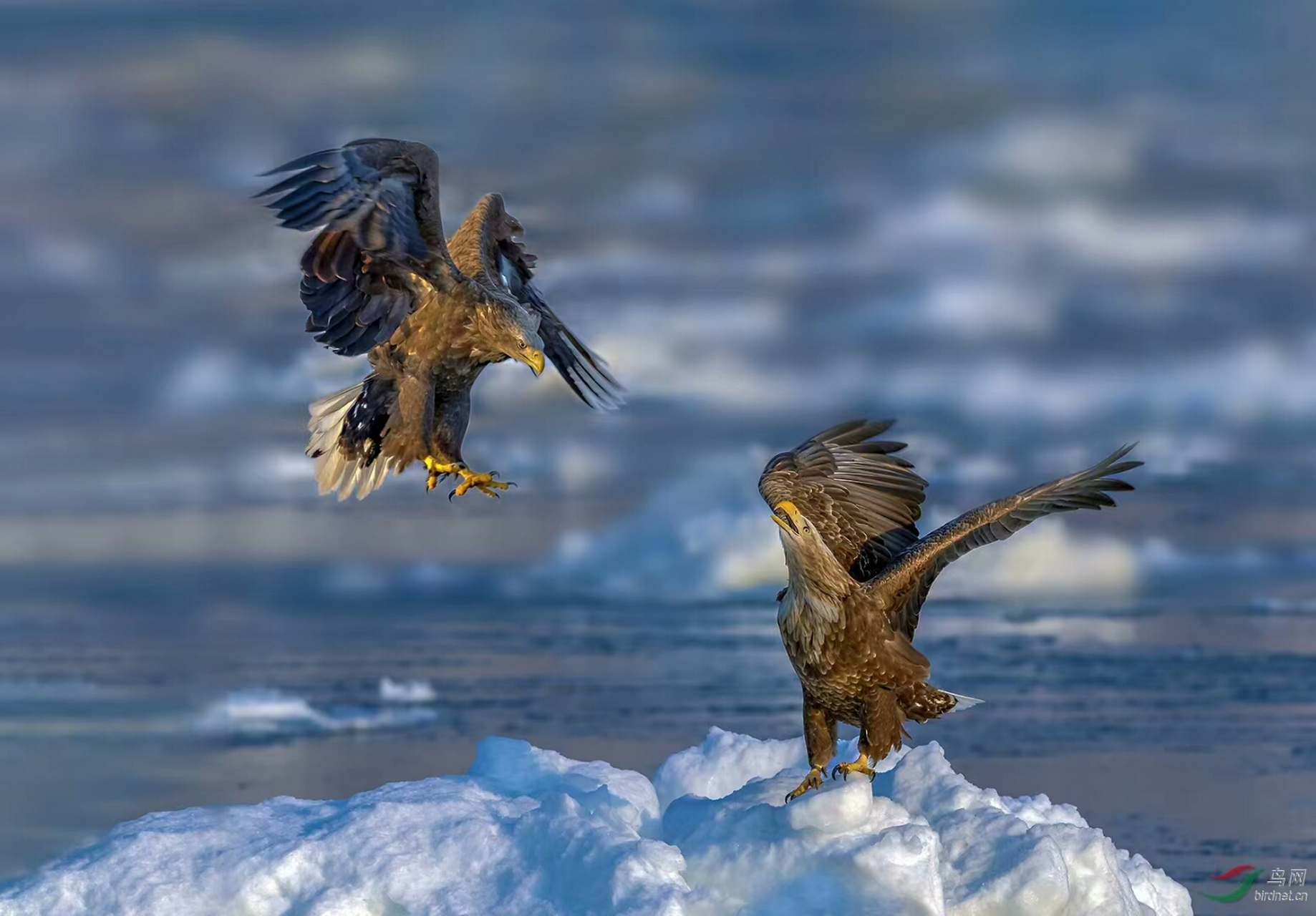 马化腾说腾讯内部的贪腐触目惊心,其实主要责任人在马化腾自己.