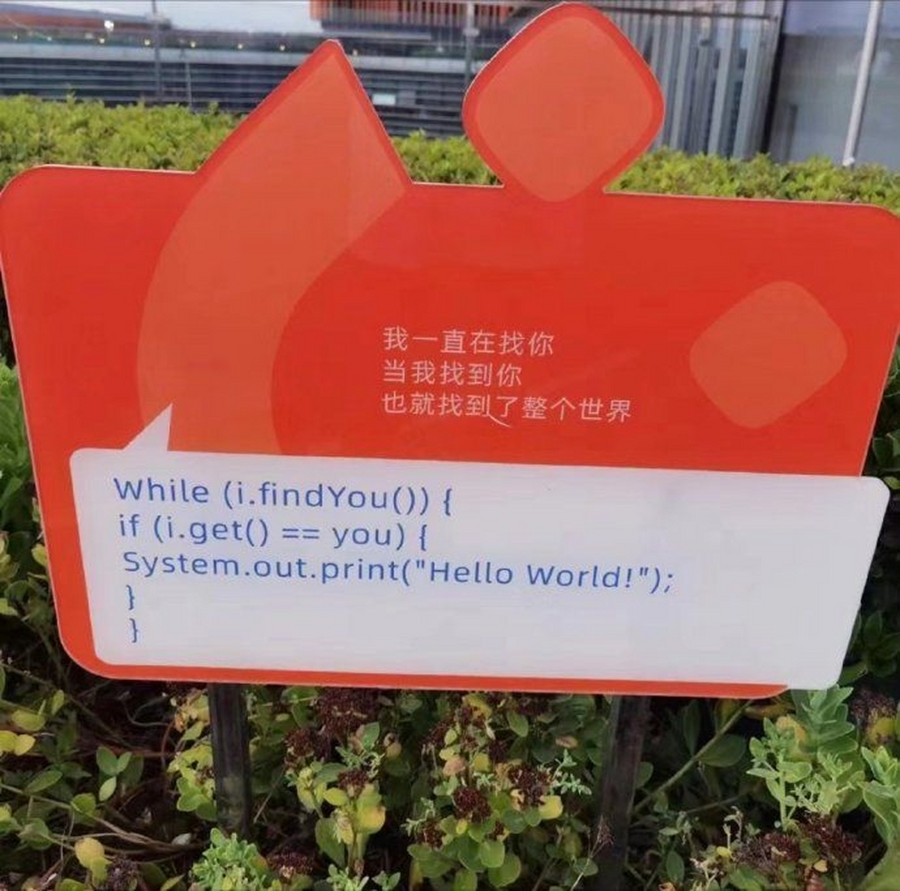 程序员浪漫起来～ 676767