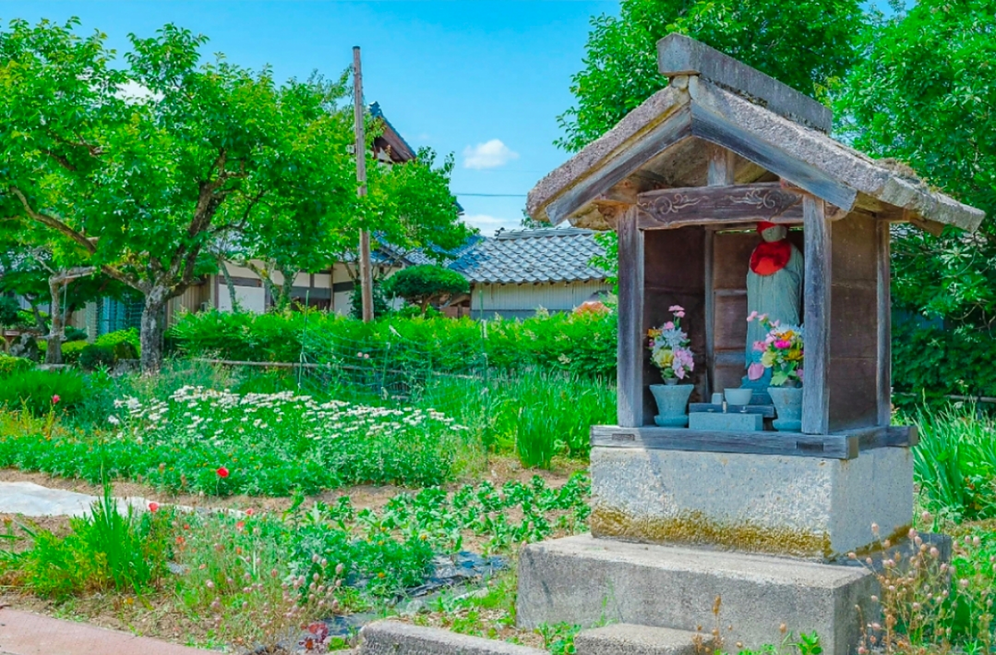 日本摄影师okina 镜头下的绝美乡村风景,越是长大成人,越是无法忘却