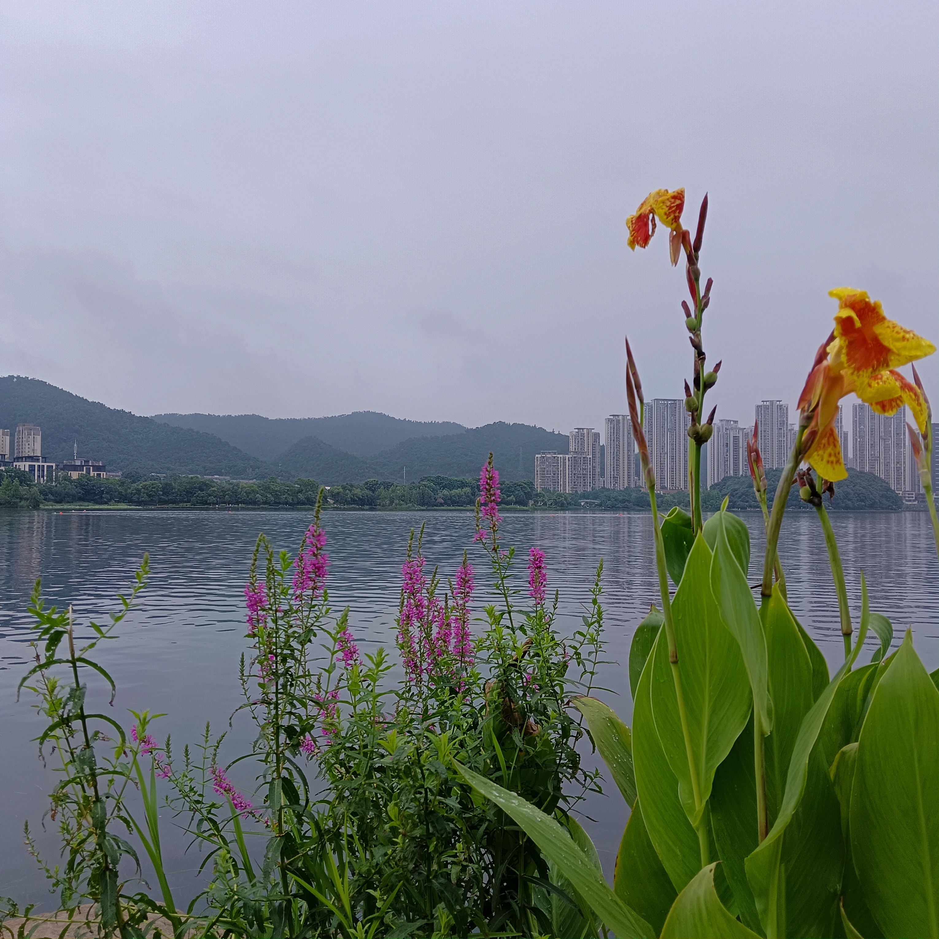 推荐环湖骑行梅溪湖,环湖骑行一圈大约10公里,湖边风景优美,吃东西也