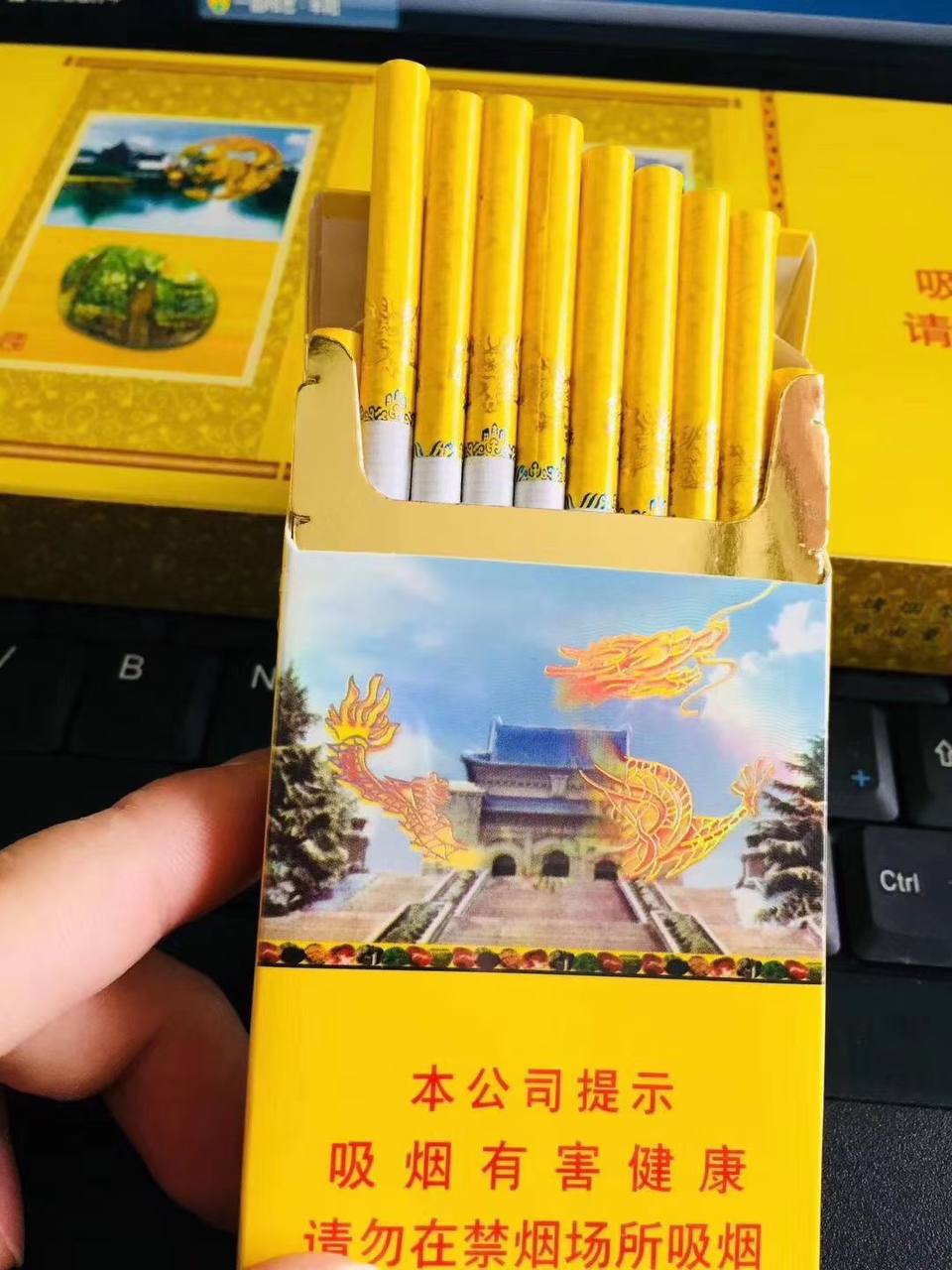 南京黄盒细枝图片