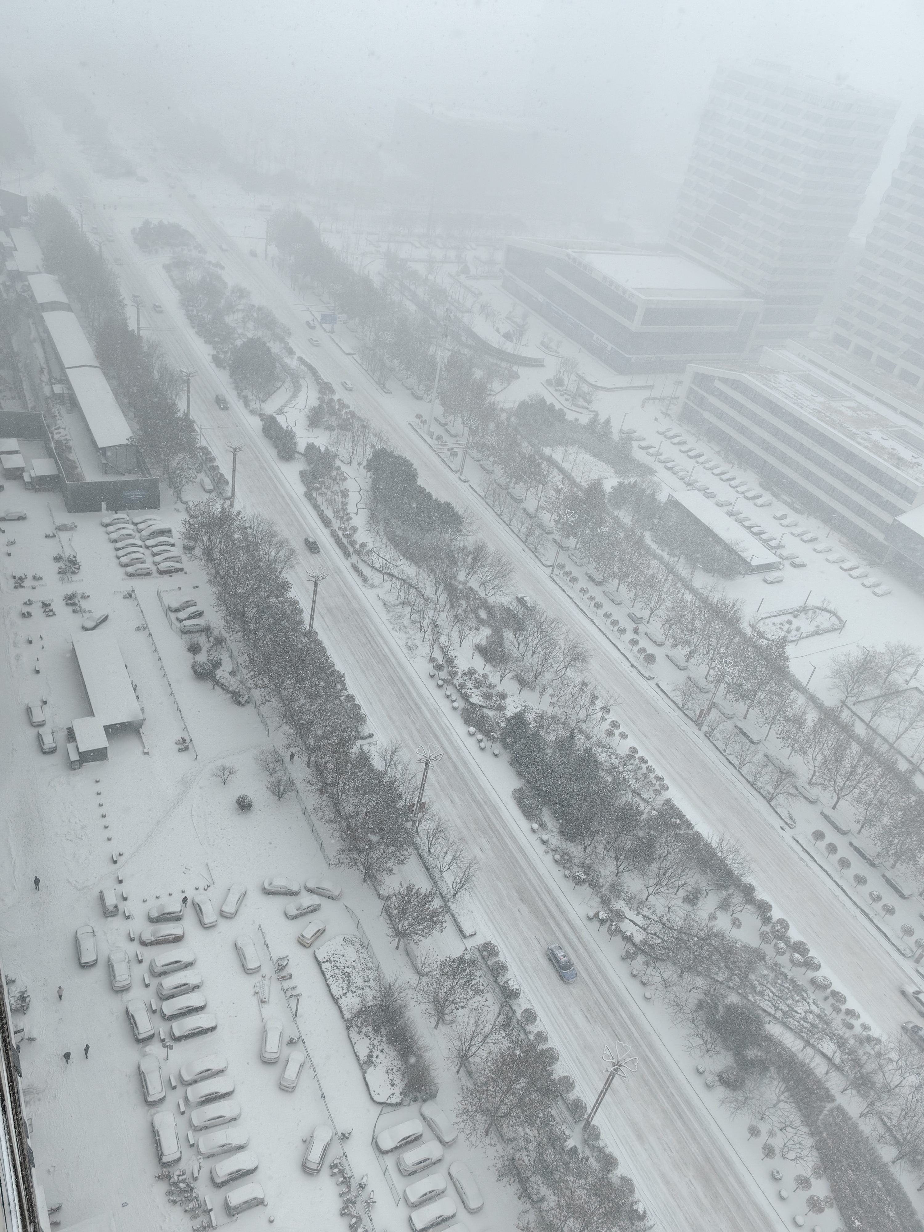 城市下雪的照片图片