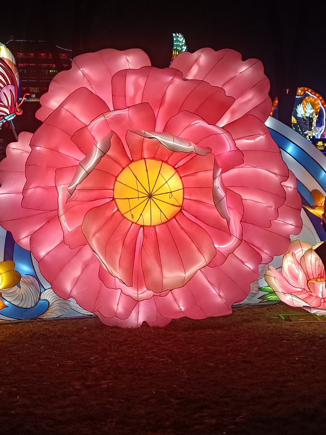 我不能做到人见人爱,但我可以让花见花开,因为