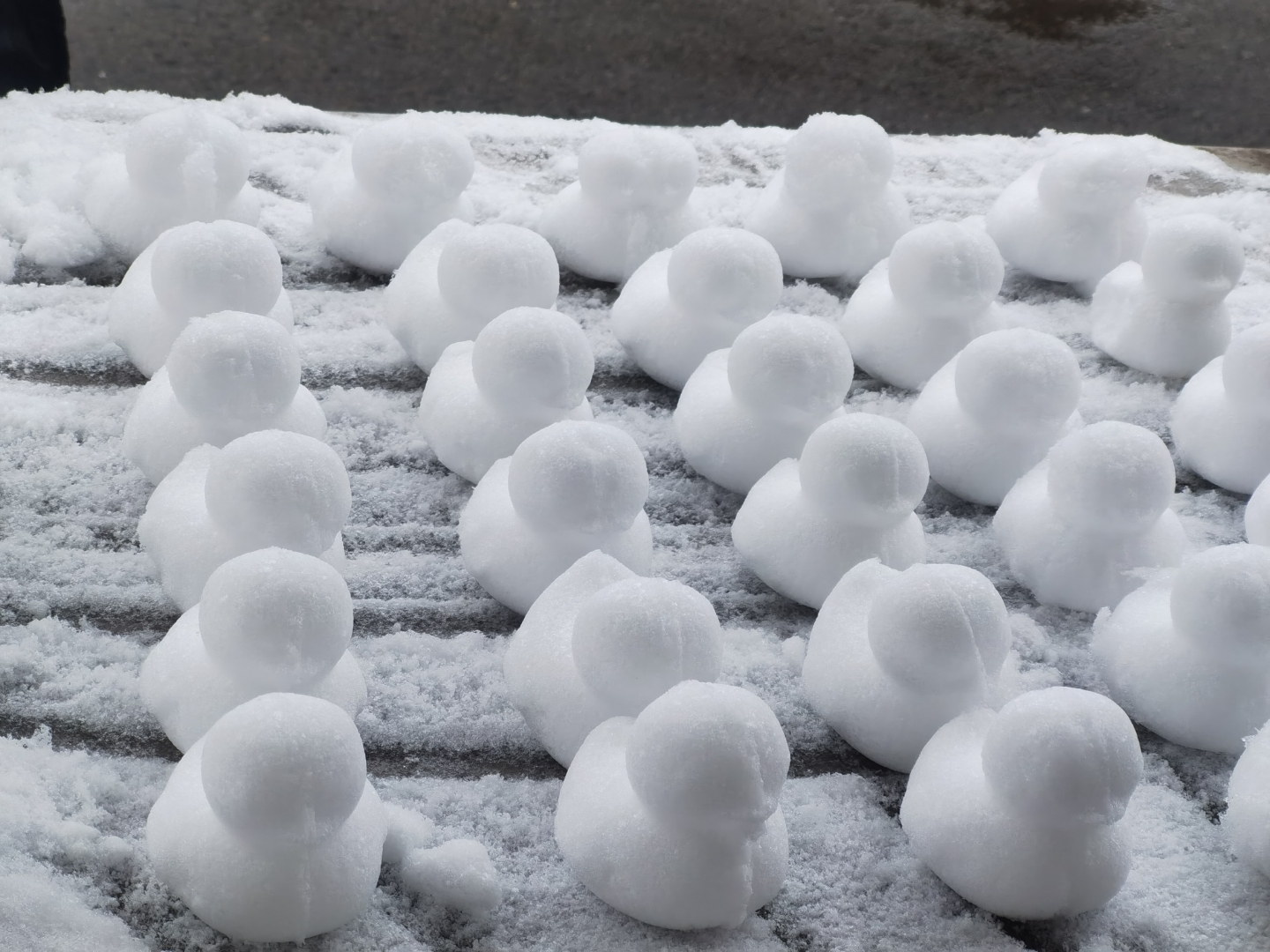 忘了我,忘了我,一只闲云里的野鹤