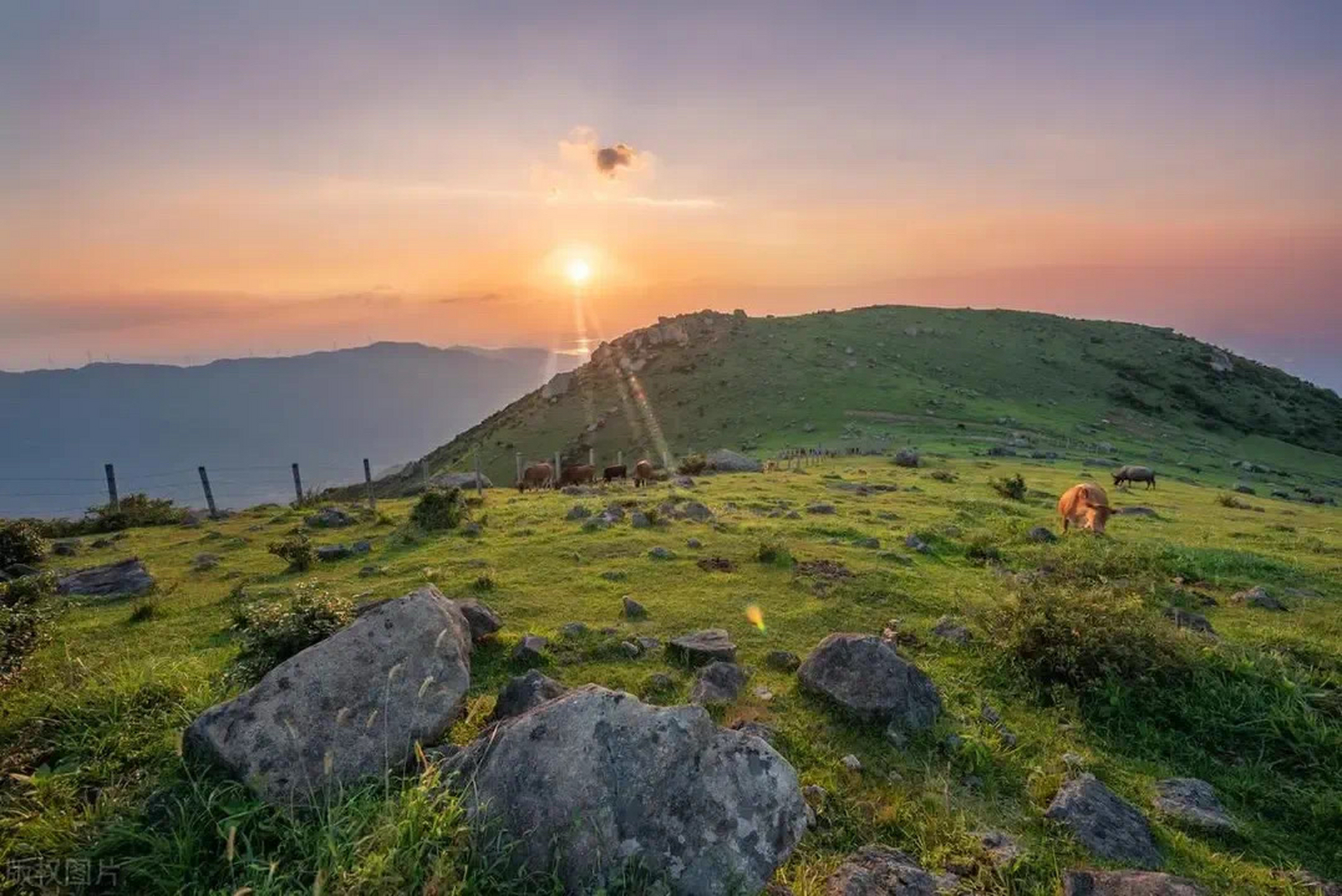 我在江西占山头#  玉华山,奇峰竞秀,是一处浪漫高山群,也是江西酌美