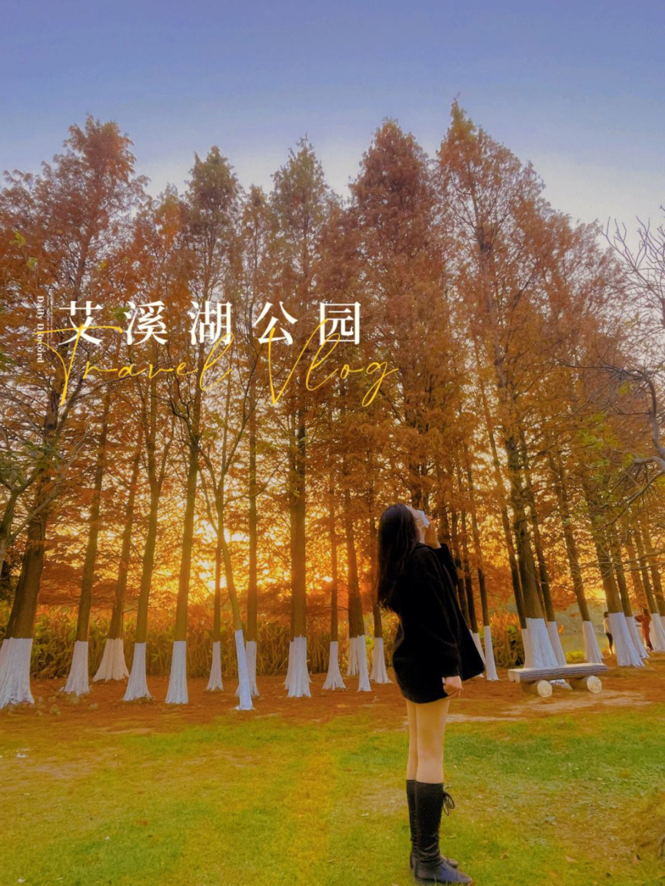 百城赏秋企划#  艾溪湖湿地公园 南昌的一个天然湿地公园 园内虏葺