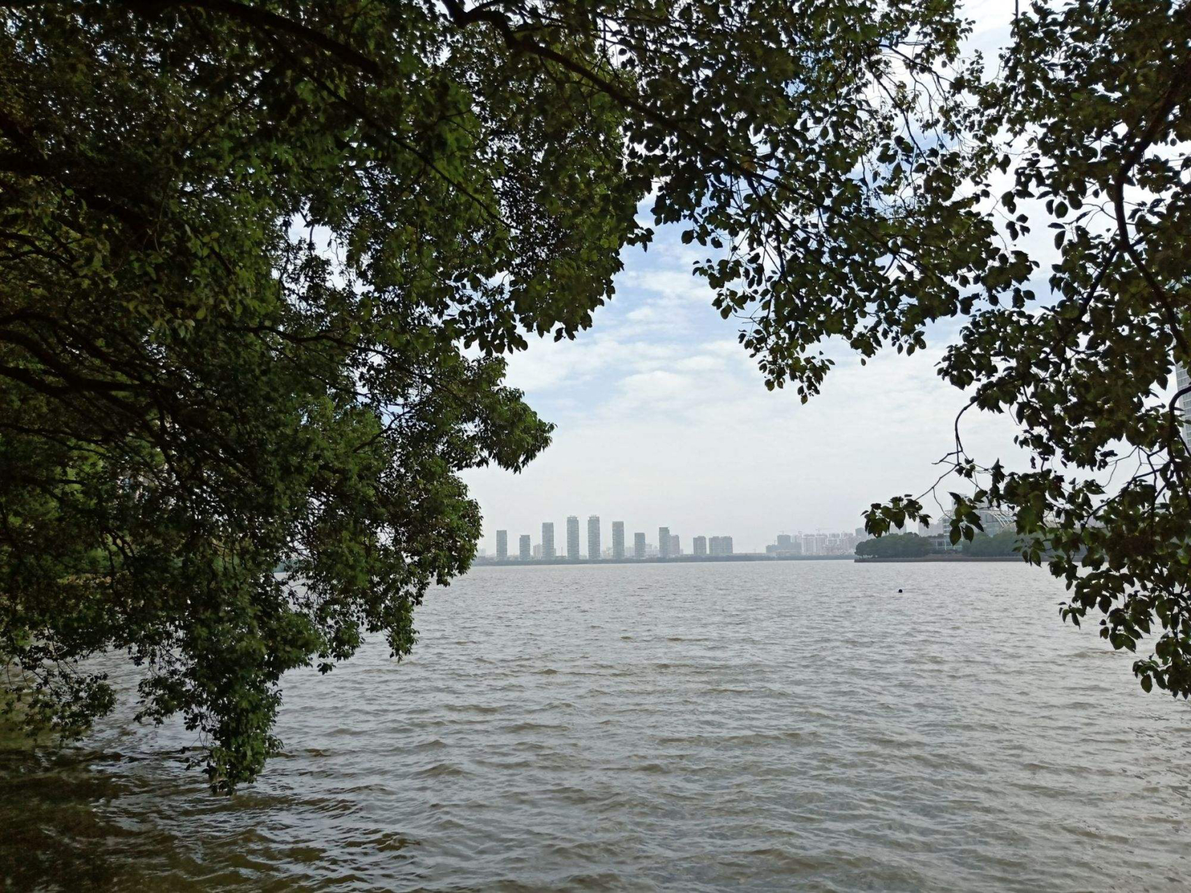 爱上南昌的n个理由#  爱上南昌的湖,青山湖面积约400公顷湖面碧波