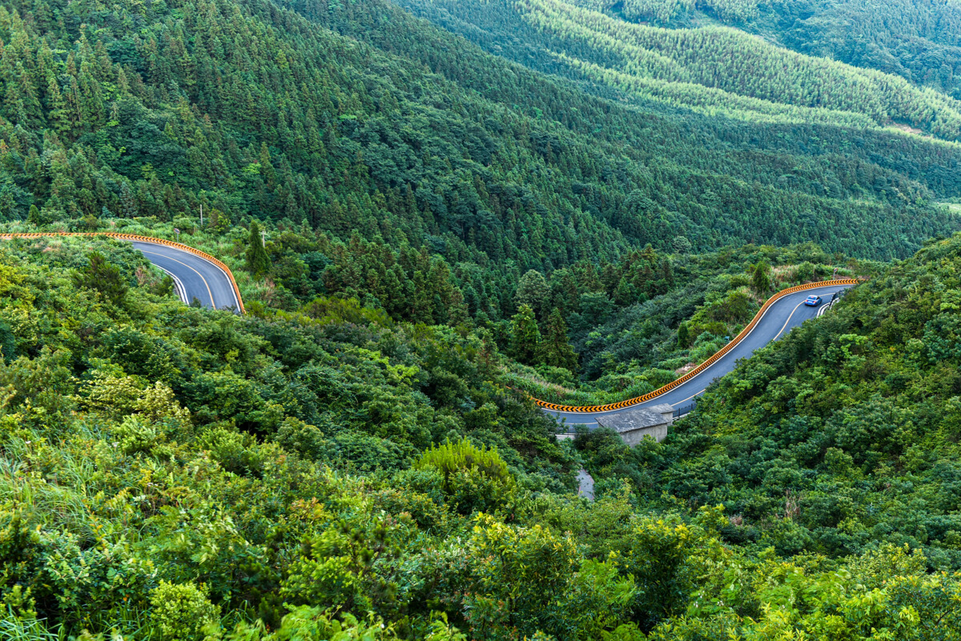 梅岭森林公园图片