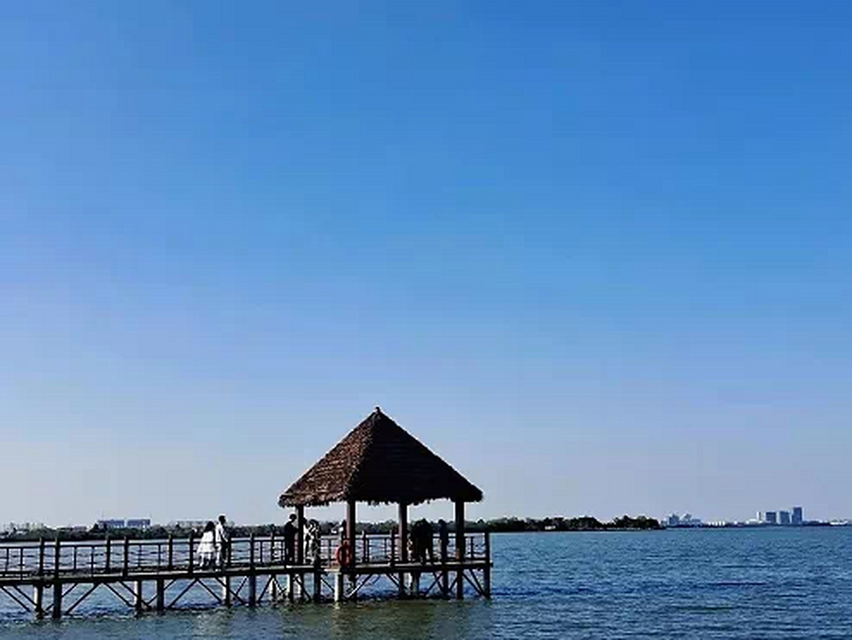 晒春游逛南昌#  瑶湖郊野森林公园被誉为南昌马尔代夫,它位于南昌市