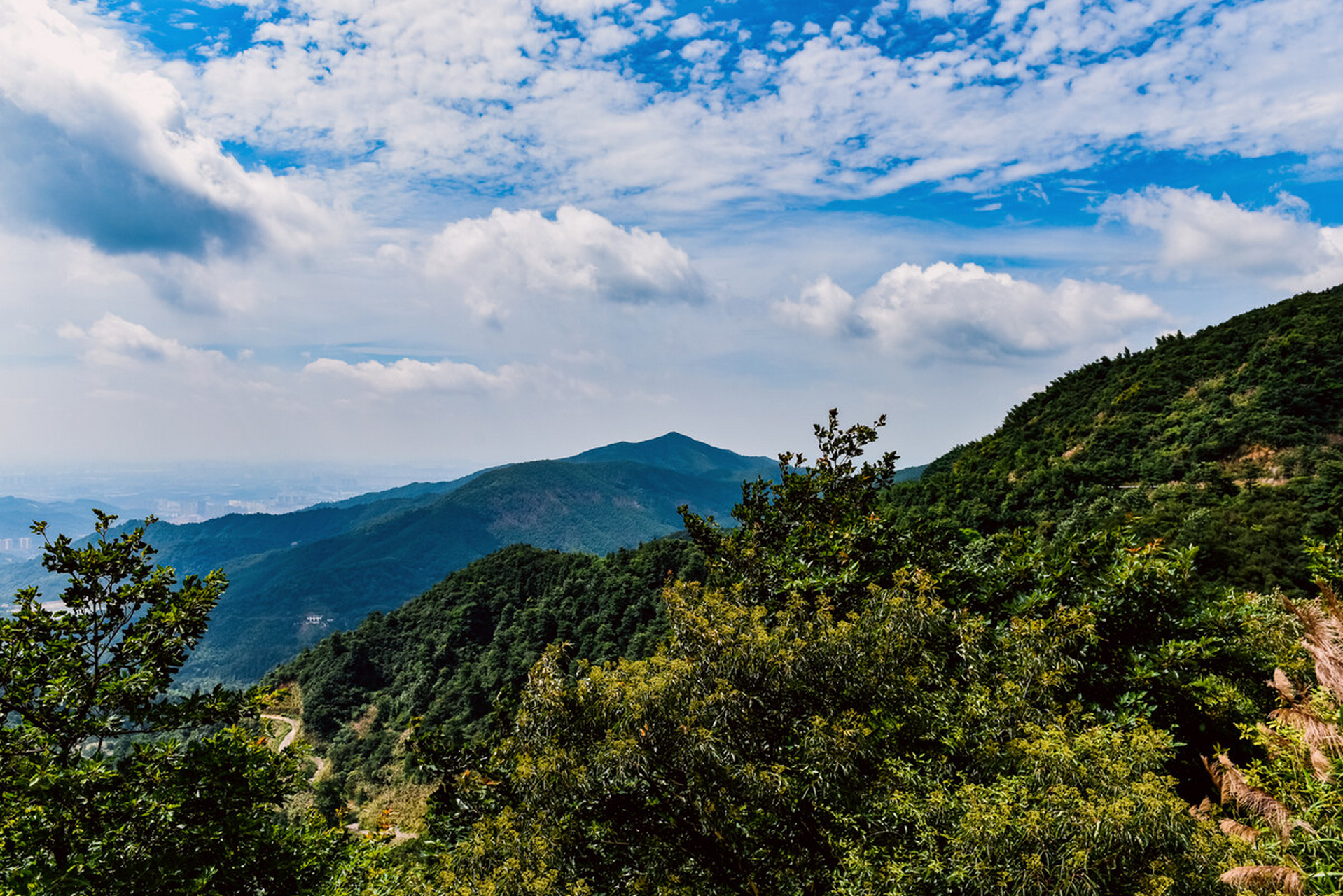 梅岭森林公园图片