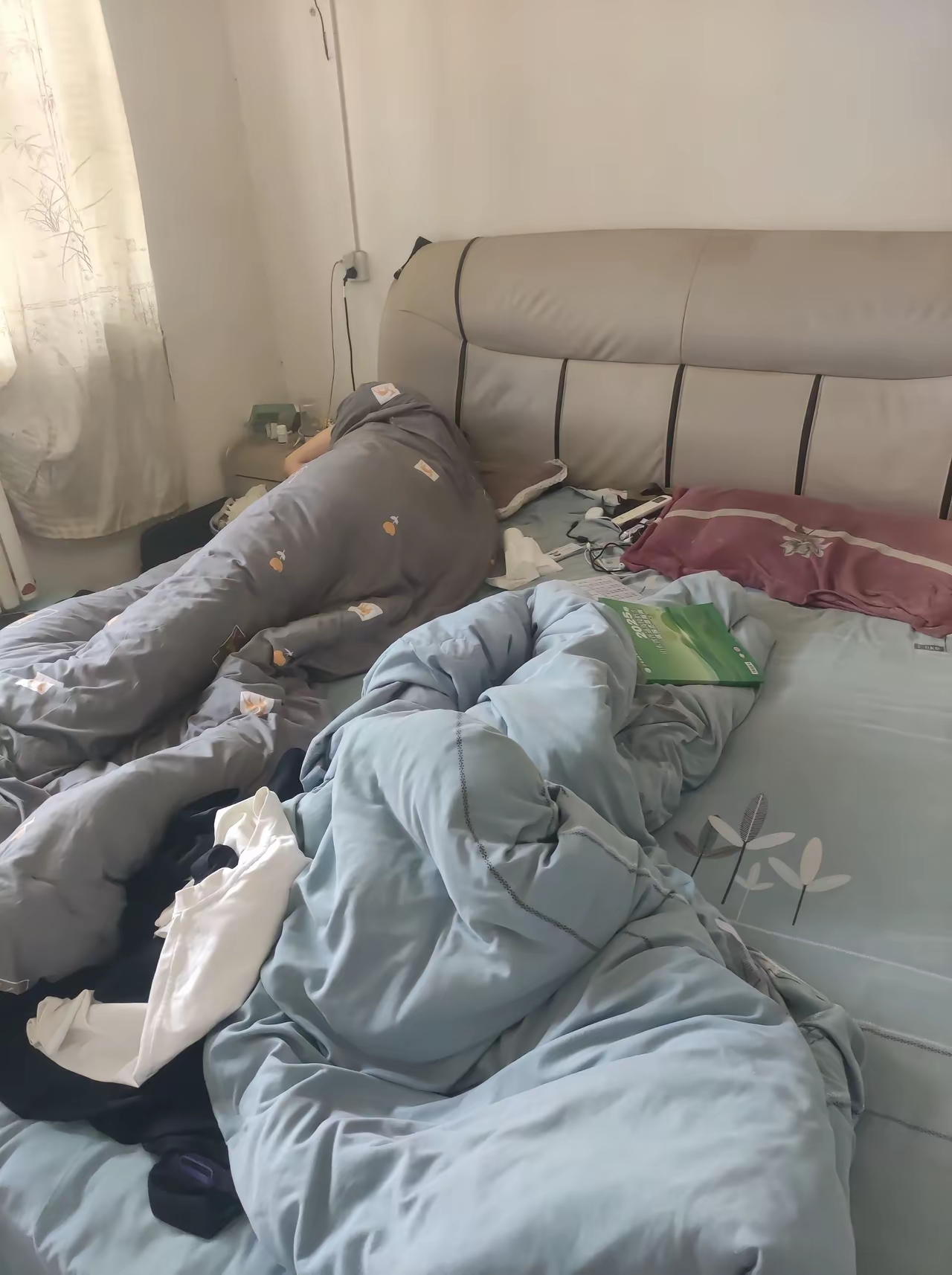 明明上了本科线,公办上不了,民办上不起,专科不服